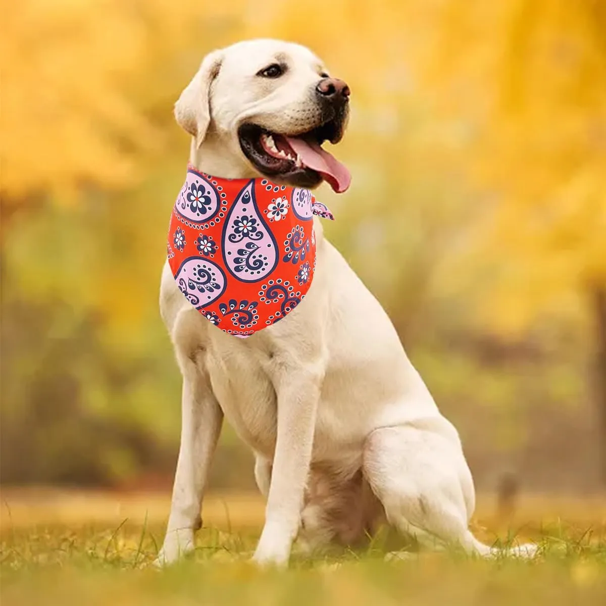 30 Pcs Paisley Bandanas for Dog Cats Polyester Print One Side Bandana Bulk for Small Middle Dogs Breed Reversible Triangle Bandana Girl Boy Grooming M