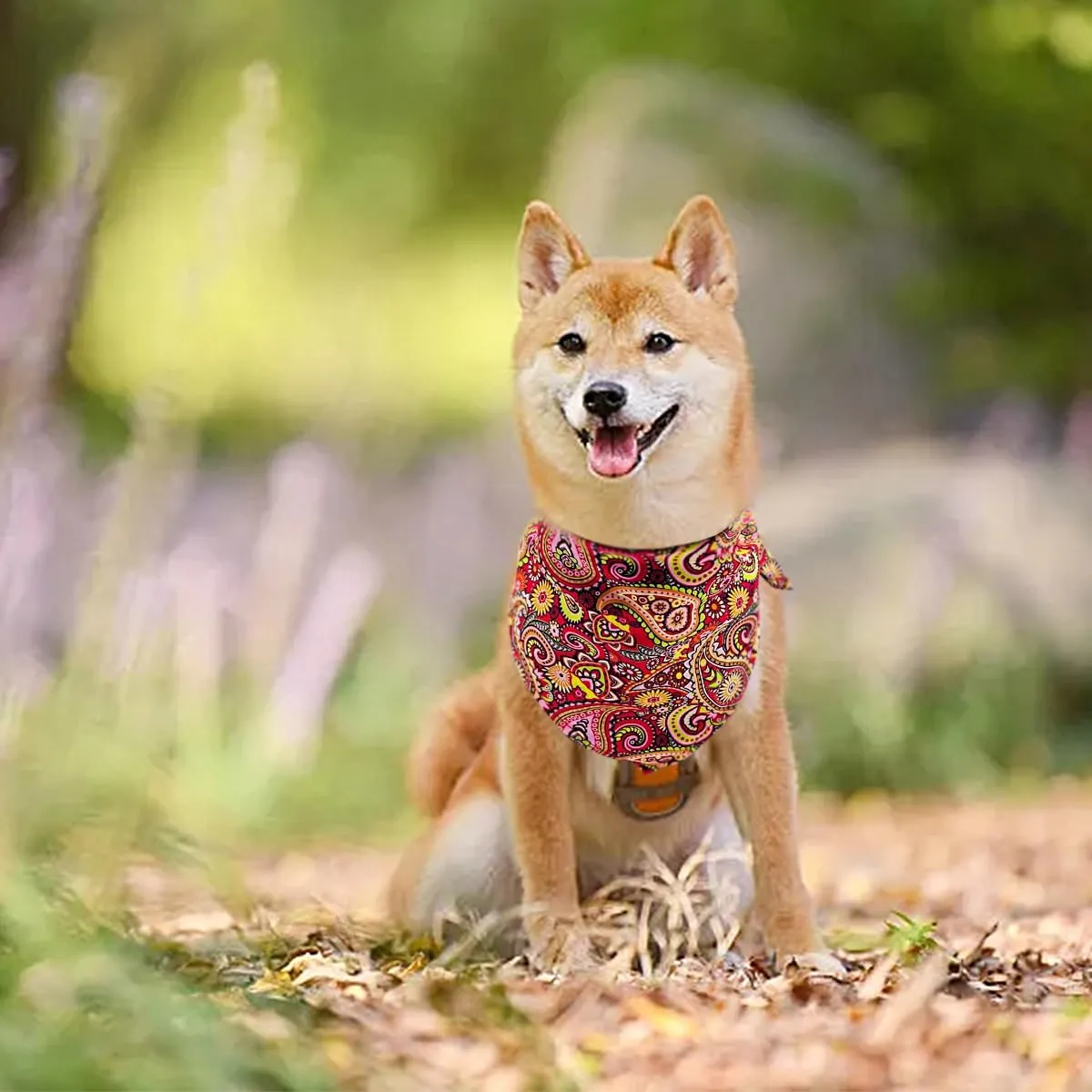 30 Pcs Paisley Bandanas for Dog Cats Polyester Print One Side Bandana Bulk for Small Middle Dogs Breed Reversible Triangle Bandana Girl Boy Grooming M