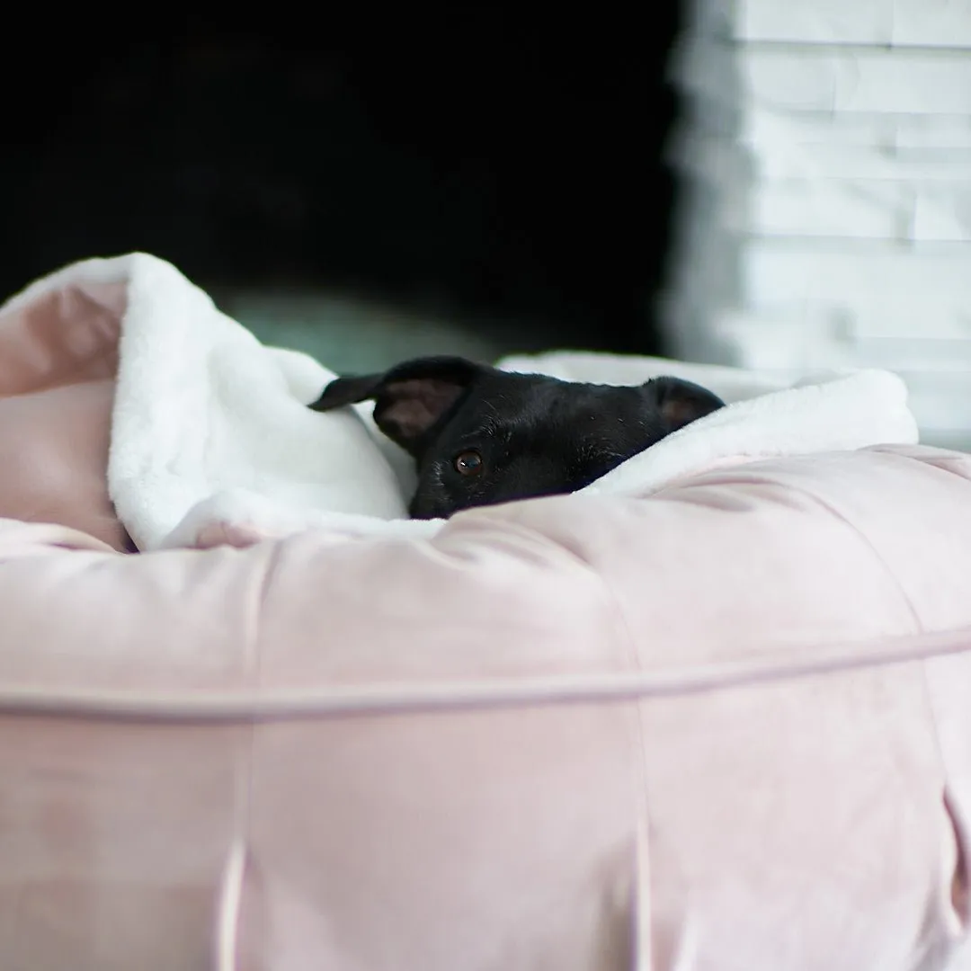 Ali Jewel® Ortho Puff™ Companion-Pedic® Luxury Dog Bed