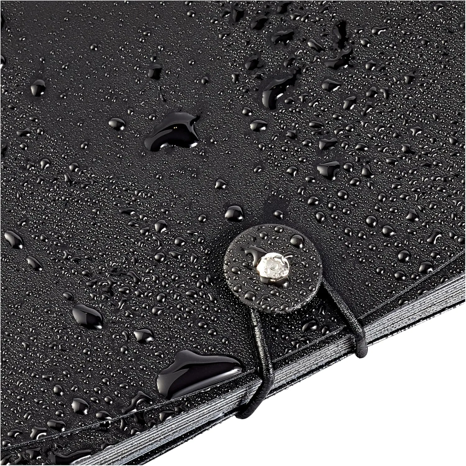 Amazon Basics Expanding Organizer File Folder, Letter Size - Black & Gray, 2-Pack