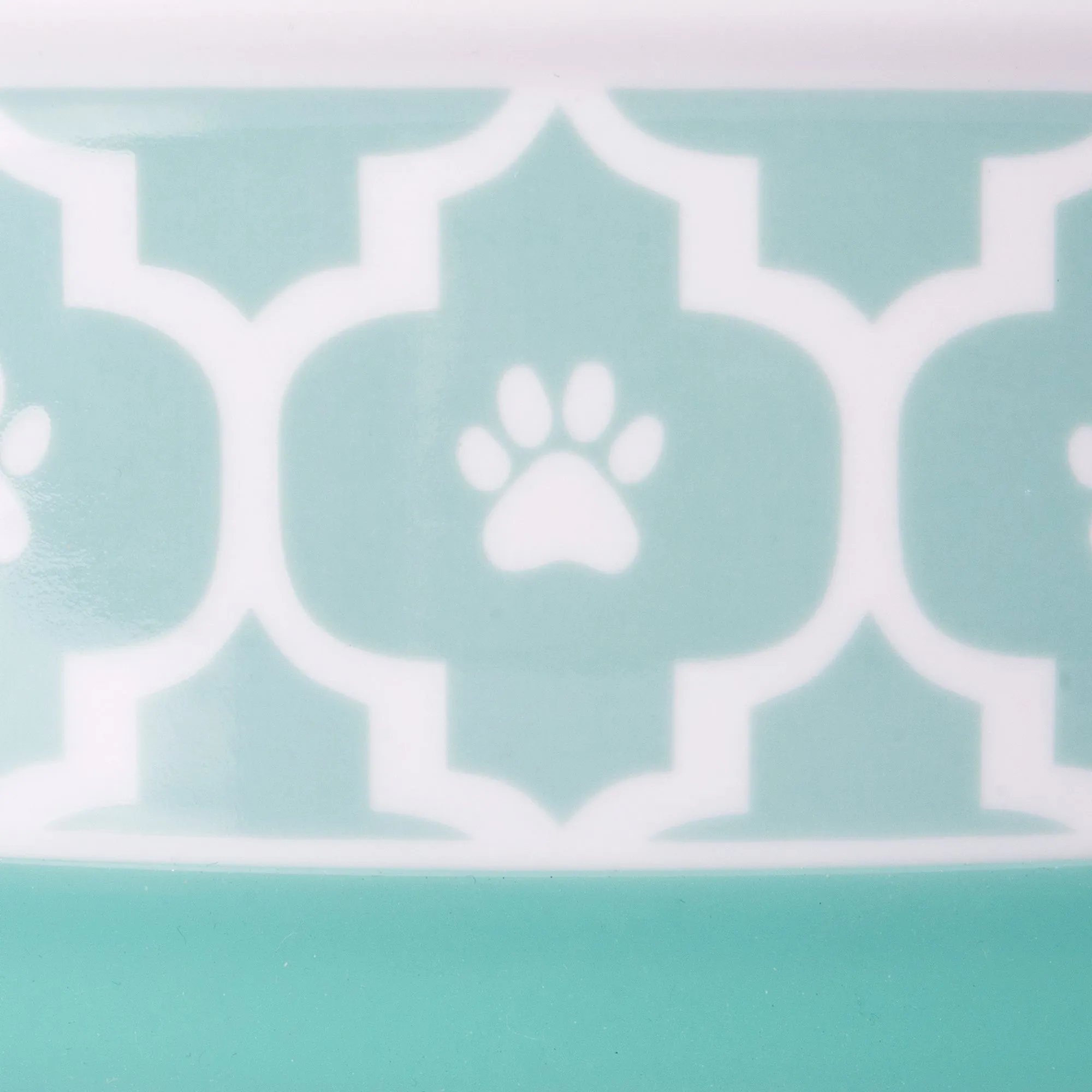 Aqua Lattice Paw Print Single Pet Bowl, Medium, 1.5 C. Capacity