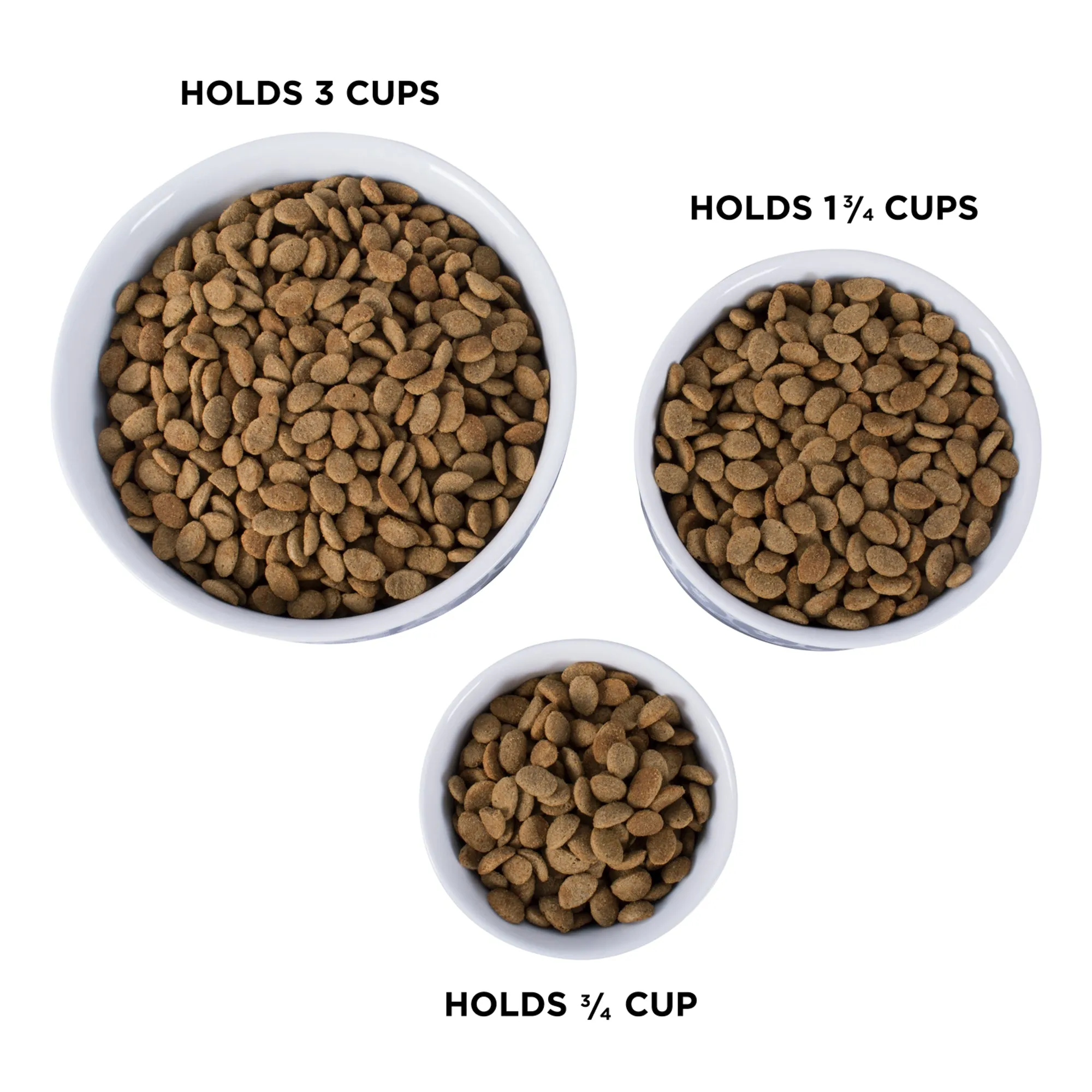 Aqua Lattice Paw Print Single Pet Bowl, Medium, 1.5 C. Capacity