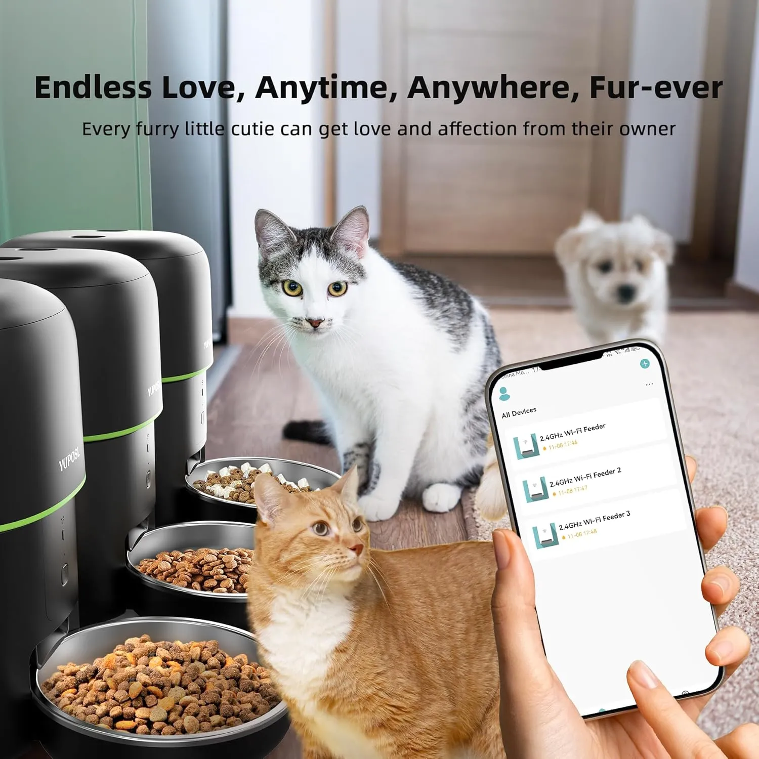 Automatic Cat Feeder, 2L Cat Food Dispenser, 5G/2.4G WiFi Cat Food Dispenser with APP Remote Feeding, Dual Power Supply, Programmable Portion Size, Auto Pet Feeder for Cats and Small Dogs