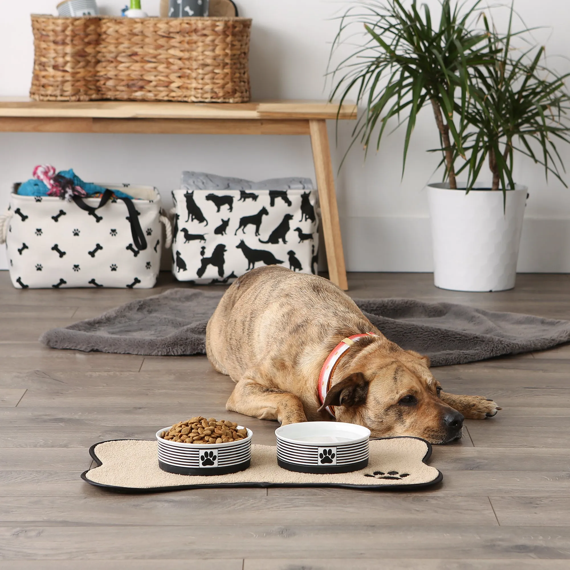 Black Striped Paw Patch Pet Bowl Set of 2, Medium - 1.5 C. Capacity