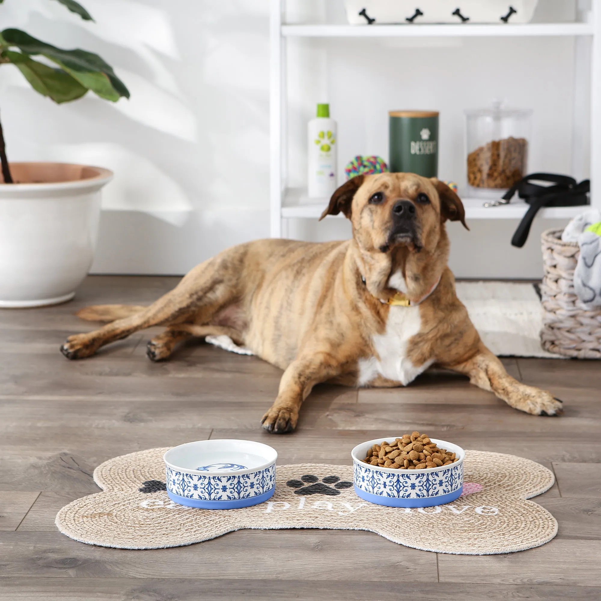 Blue Tile Pet Bowl Set of 2, Medium - 1.5 C. Capacity