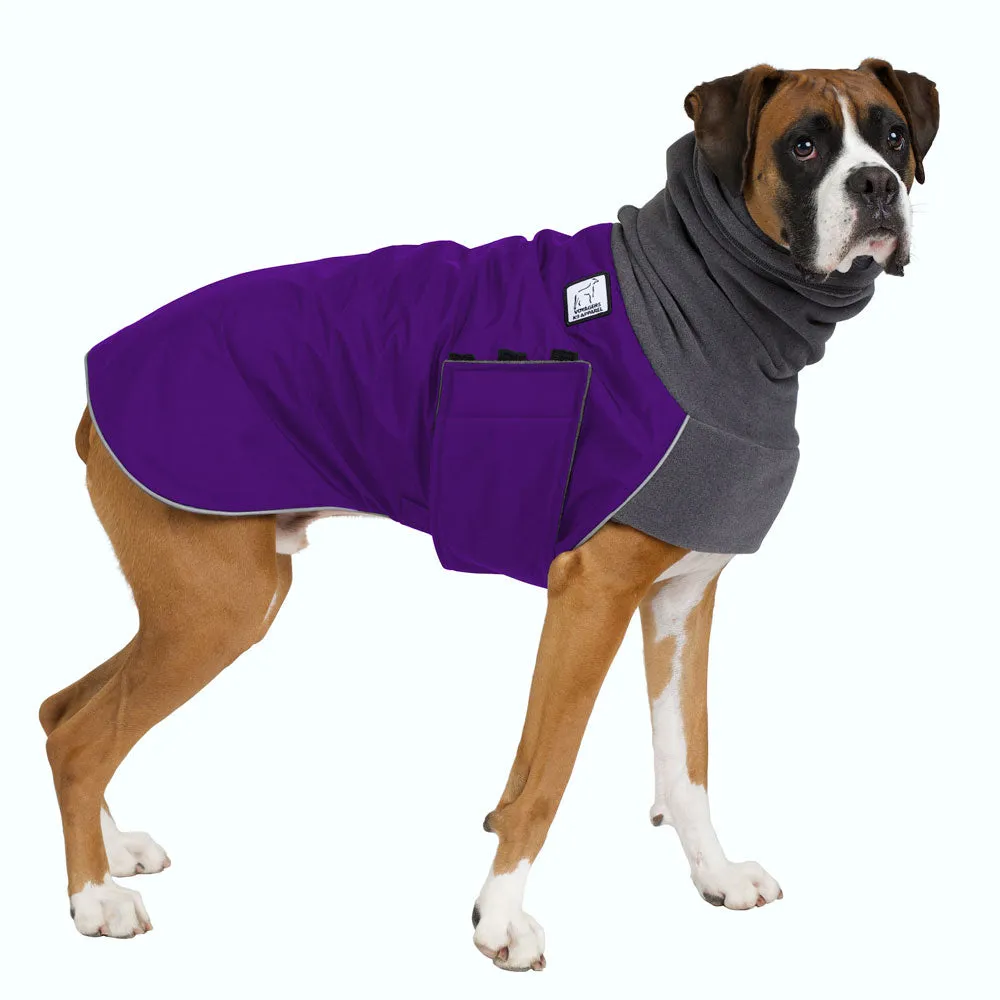 Boxer Winter Coat