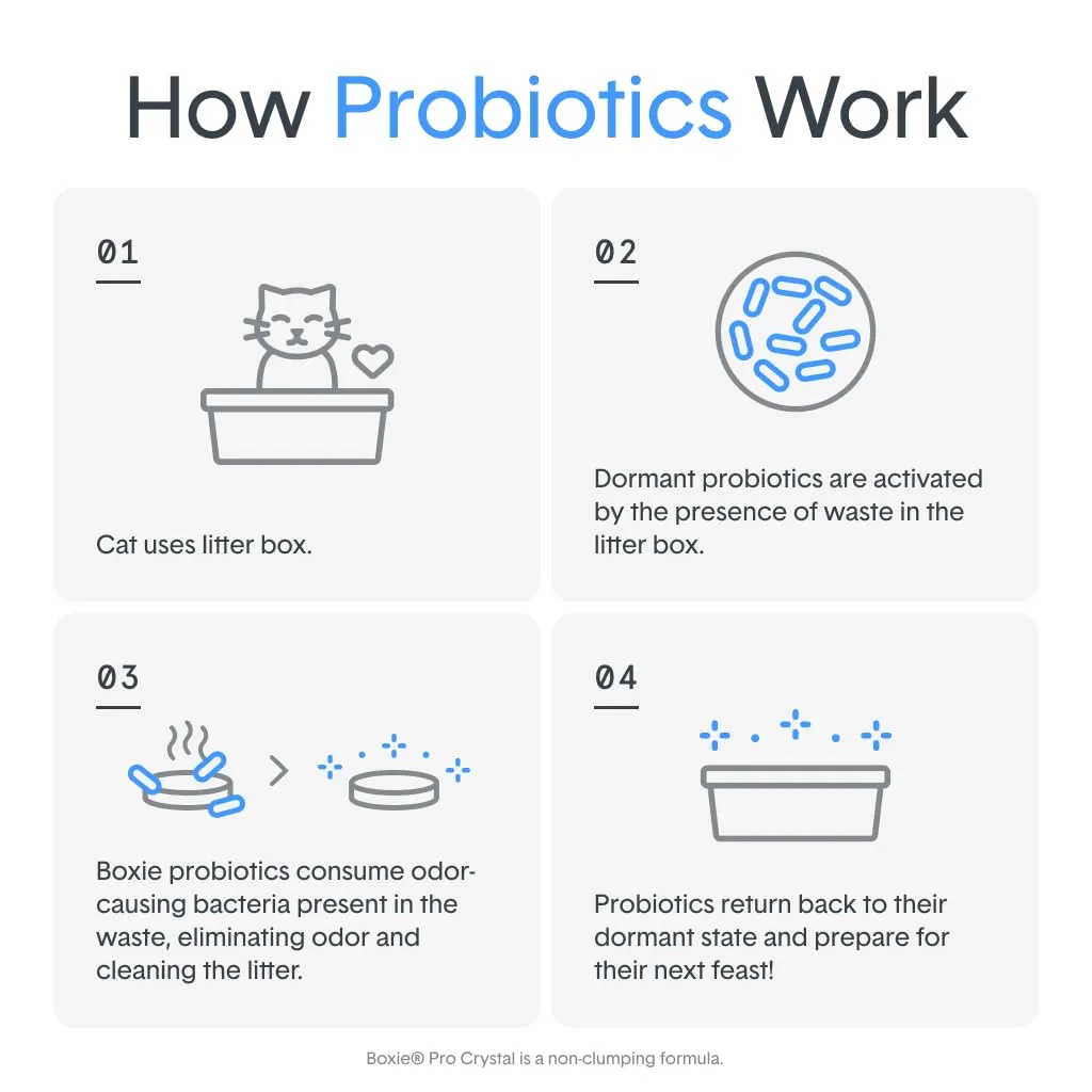 Boxiecat Pro Probiotic Deep Cleaning Dust-Free Odor Control Non-Clumping Crystal Cat Litter - 6 Lbs