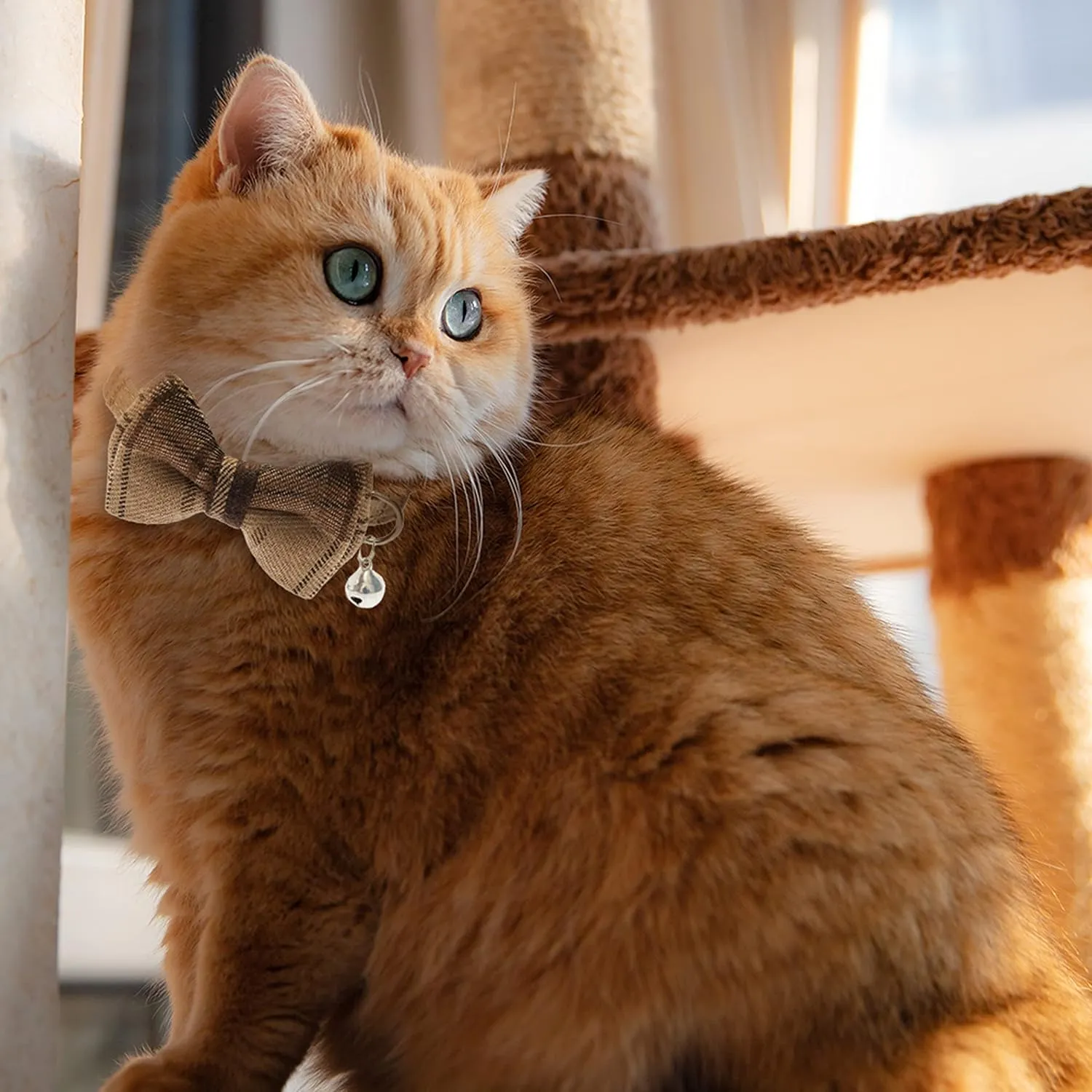 Breakaway Cat Collars - Bow Tie Cute Cat Collar with Bells for Girl Boy Cats, Puppy - Plaid Soft Adjustable Pet Collars Cat Accessories