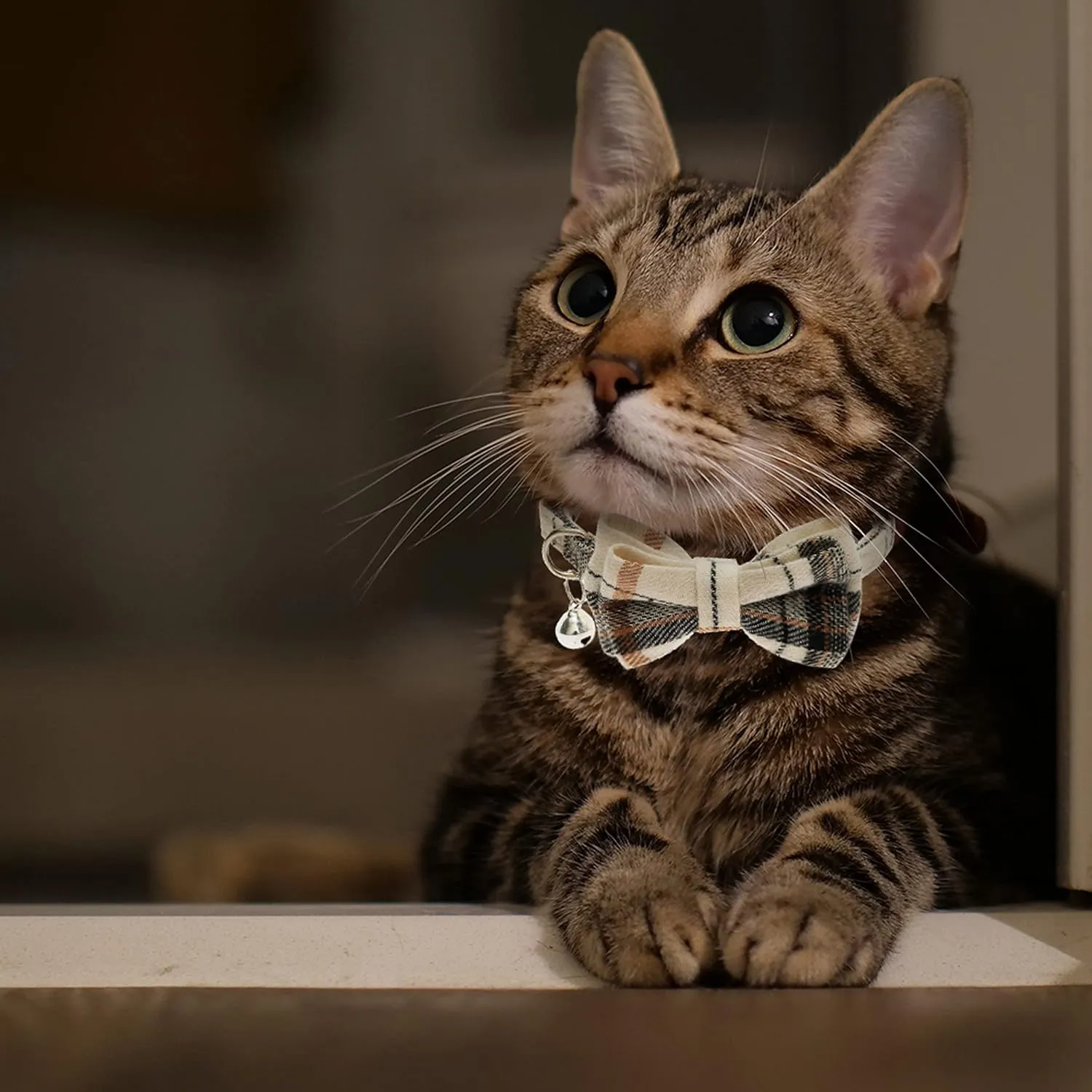 Breakaway Cat Collars - Bow Tie Cute Cat Collar with Bells for Girl Boy Cats, Puppy - Plaid Soft Adjustable Pet Collars Cat Accessories