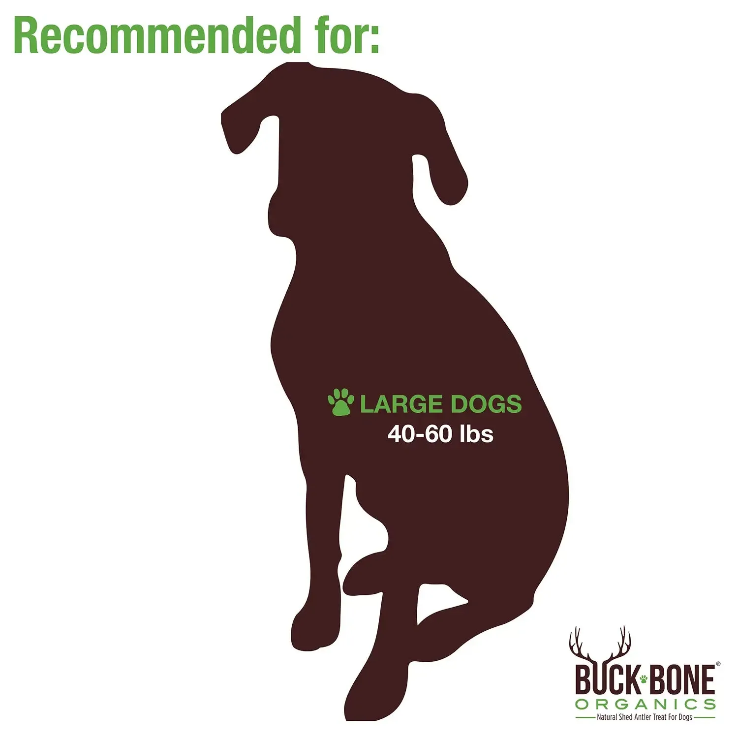 Buck Bone Organics Moose Antler