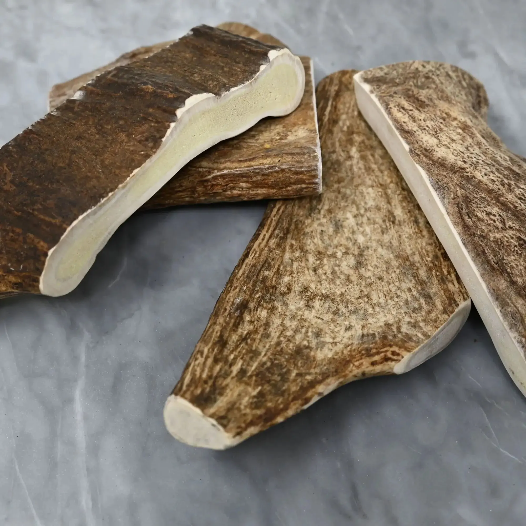 Buck Bone Organics Moose Antler
