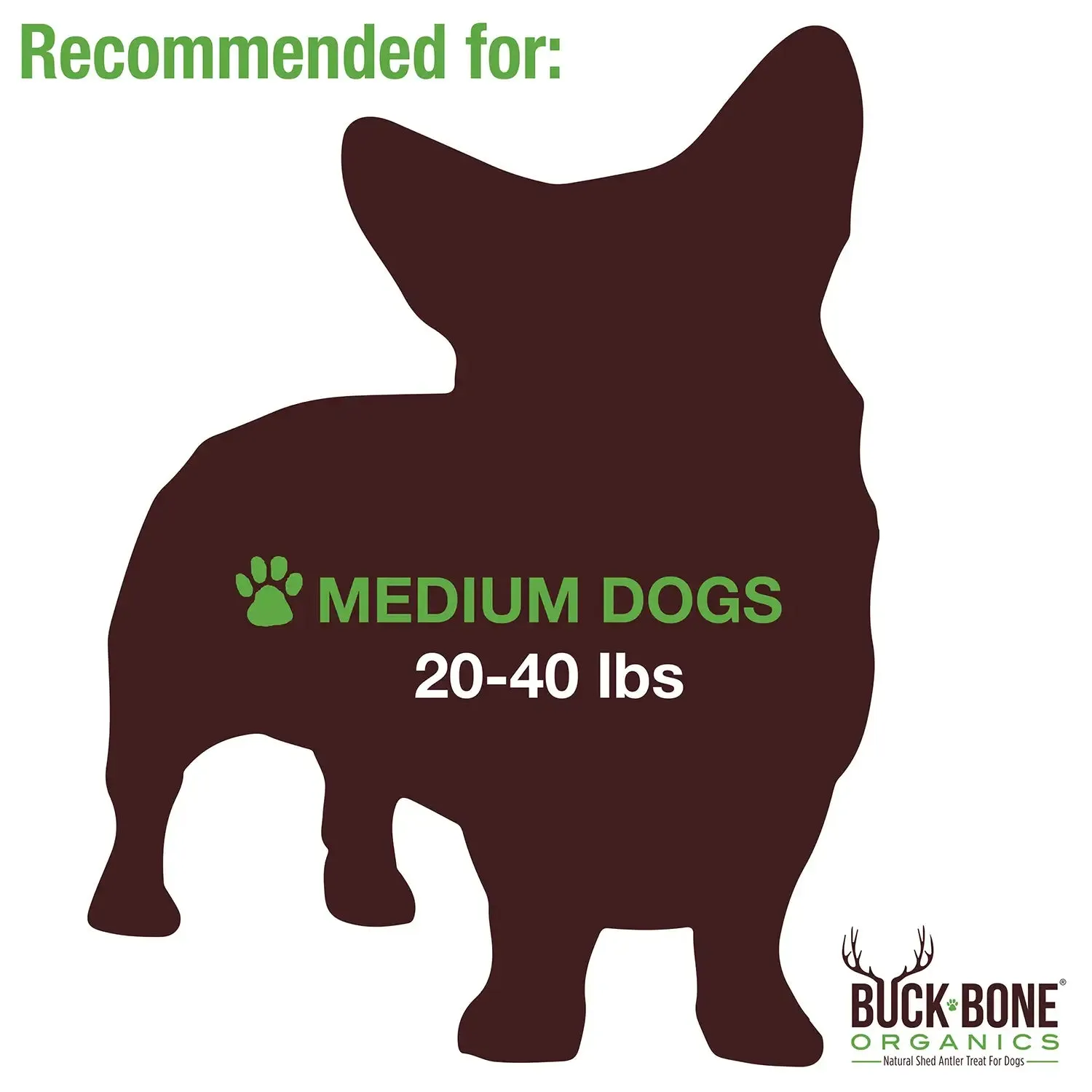 Buck Bone Organics Moose Antler