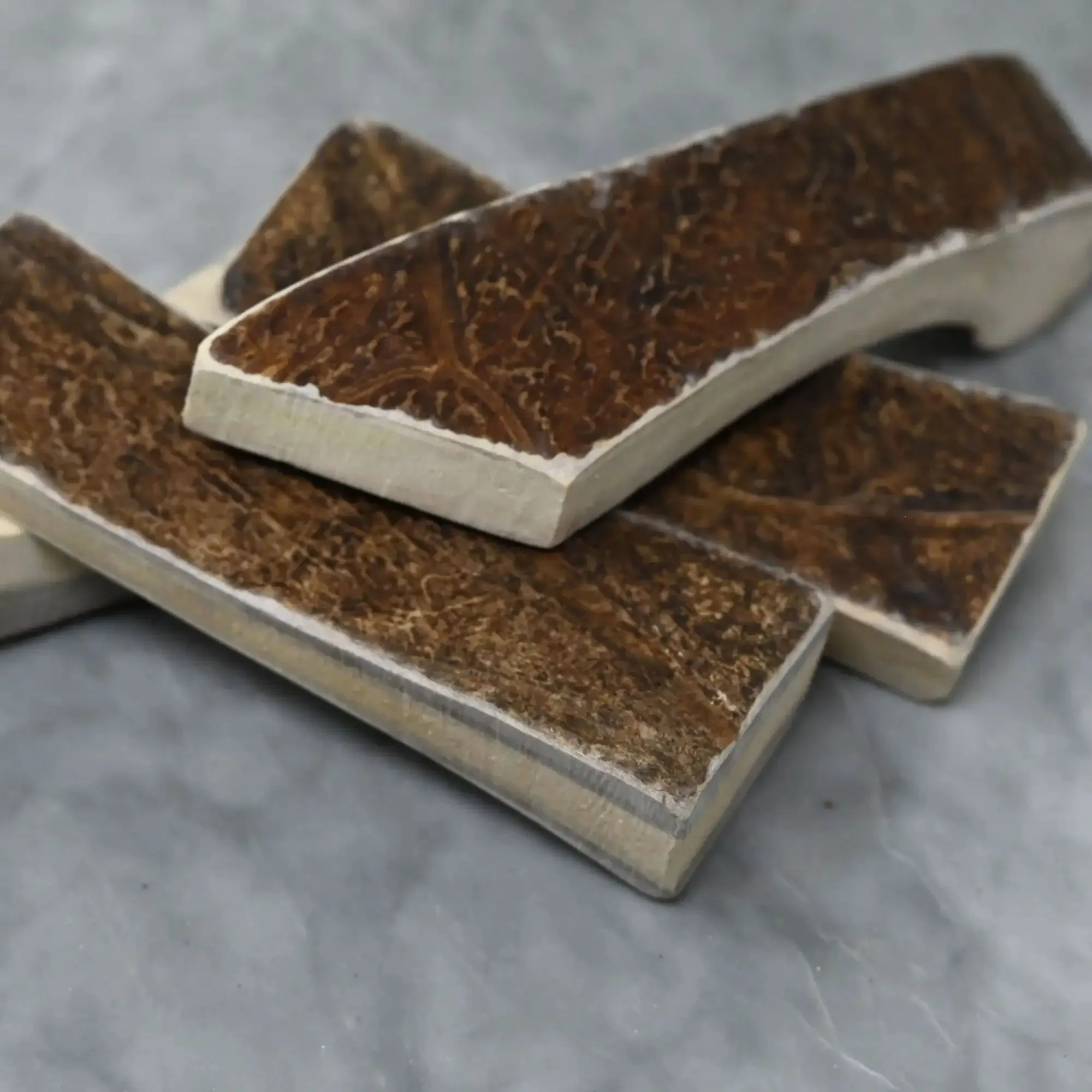 Buck Bone Organics Moose Antler