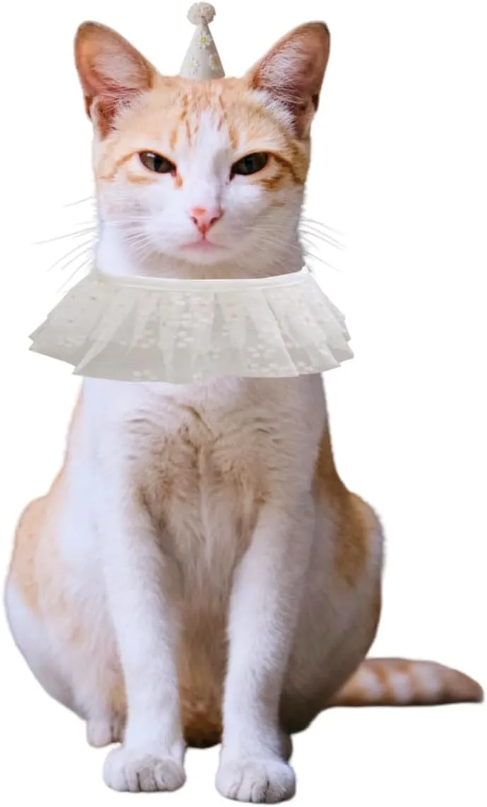Cat Birthday Party Supplies Birthday Hat with Bib Bandana Set for Small Dogs Princess Costume Decoration Outfit for Pets Kitten(White Flower)