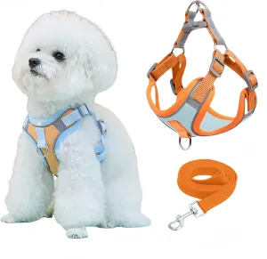 Cats and Small Dogs Harness and Leash for Walking - Escape Proof Soft Adjustable Vest, Breathable with Reflective Strips for Easy ControlOrange and Blue