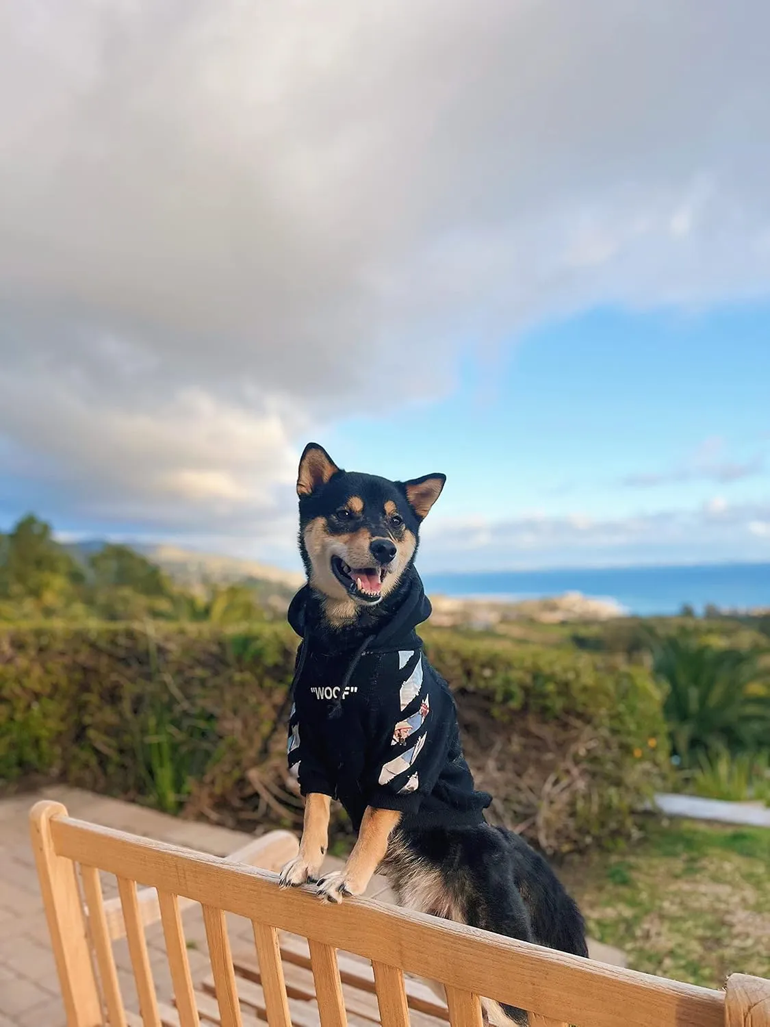 ChoChoCho Woof Dog ,,,(3XL,)