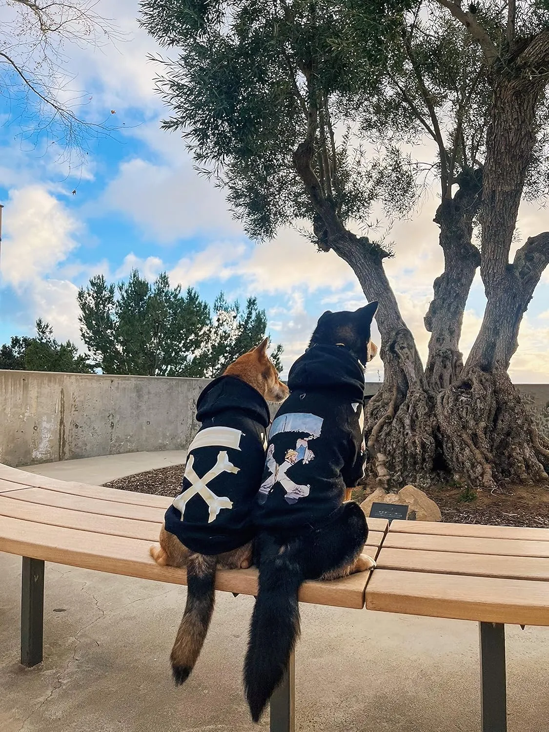 ChoChoCho Woof Dog ,,,(3XL,)