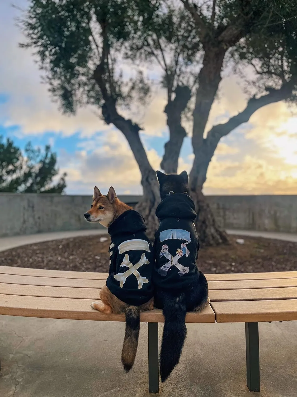 ChoChoCho Woof Dog ,,,(3XL,)