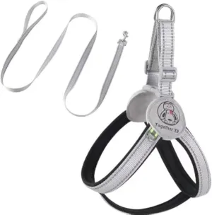 Easy Walk Step in Pet Harness - No Pull Dog Harness and Leash Set for Small Medium Dogs and Cats - Black, M