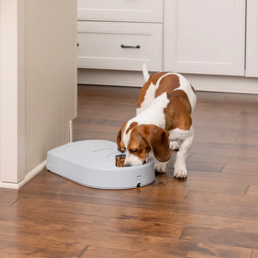 Eatwell™ 5 Meal Pet Feeder