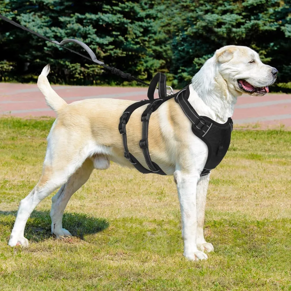 FEimaX Dog Harness No Pull Soft Padded Dog Vest with 3 Leash Clips and Easy Control Handle Reflective Adjustable No Choke Pet Harnesses for Medium and Large Dogs Training Walking (Black, Large)