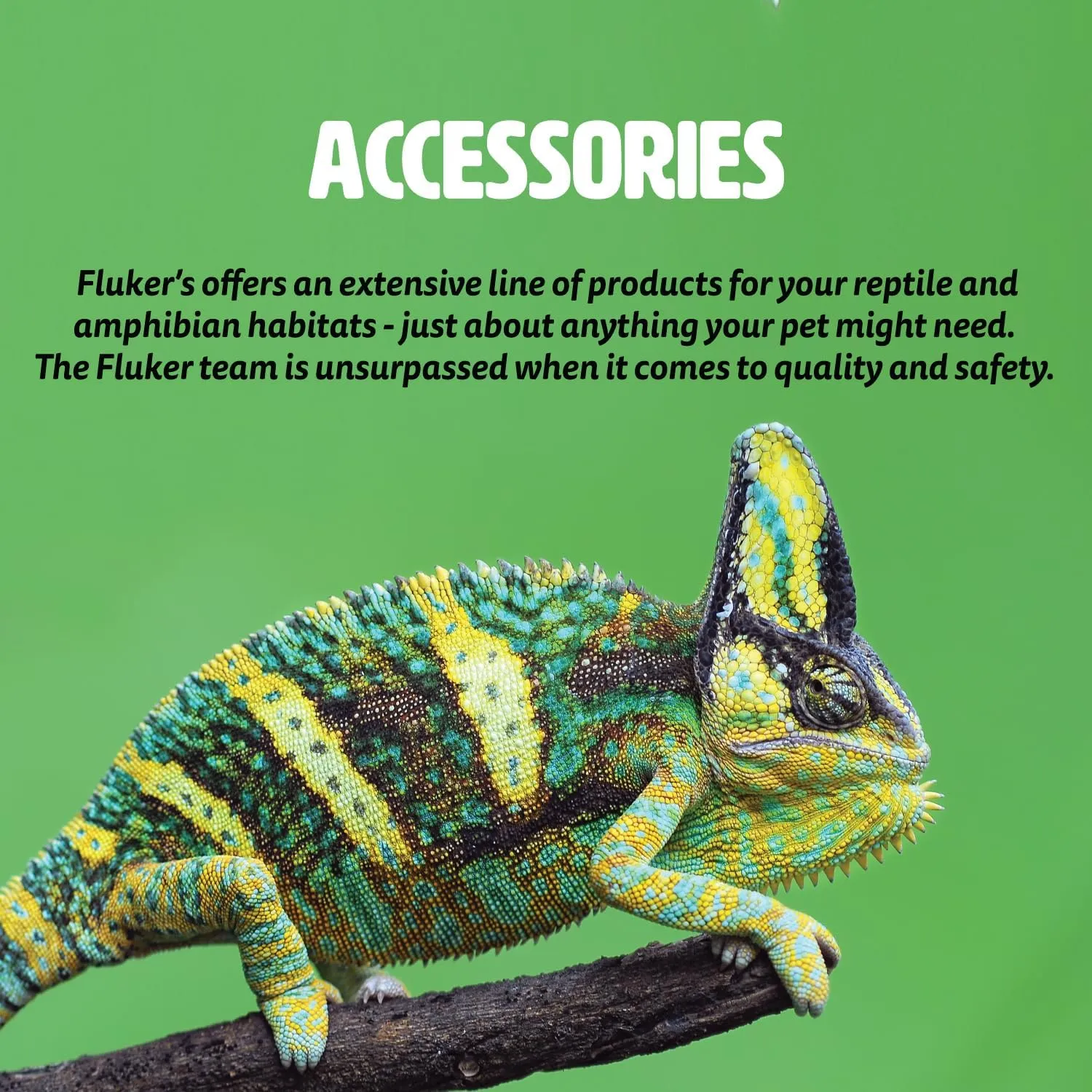 Fluker's Food and Water Reptile Corner Bowl, Small 4"