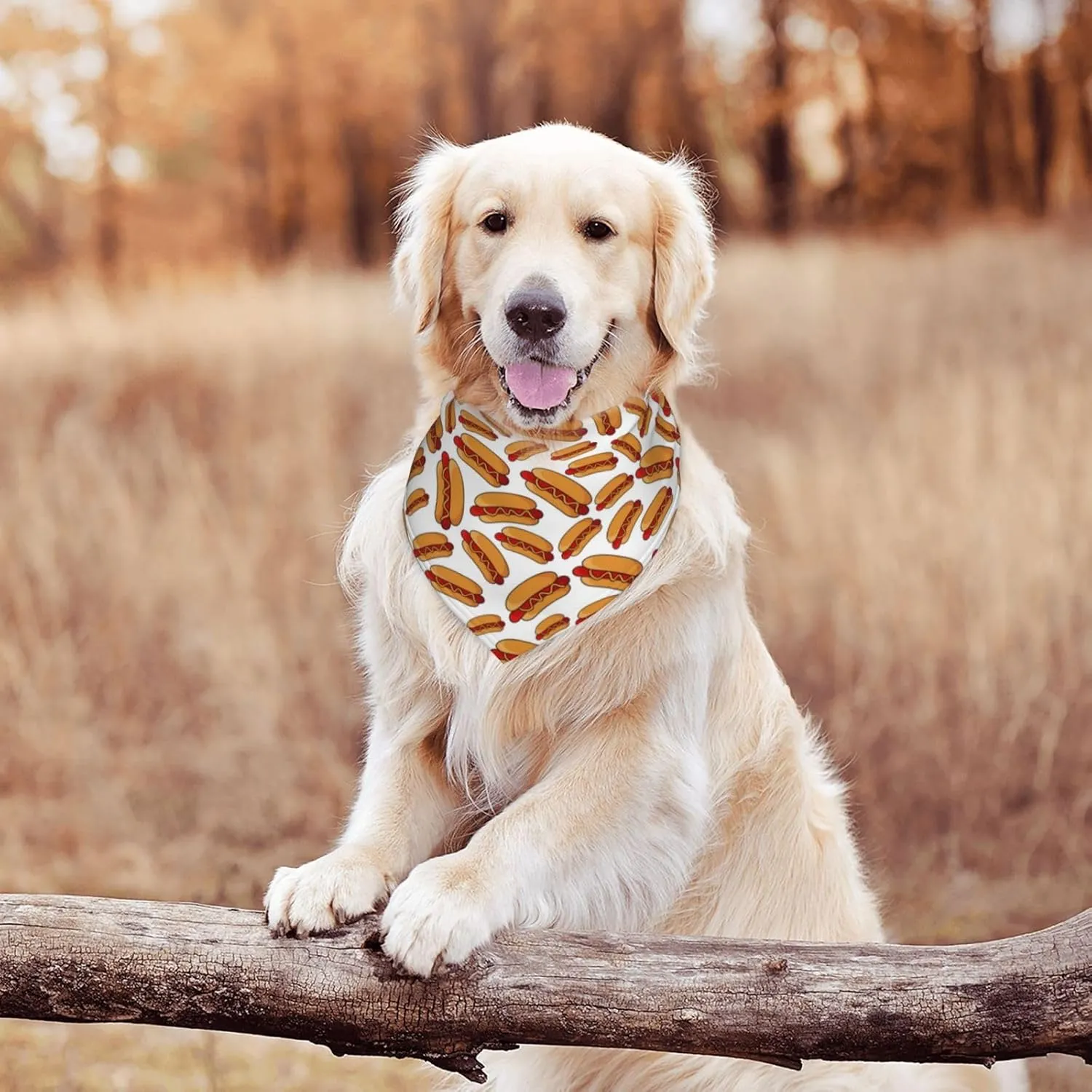Food Hot Dog Dog Bandana Scarf Triangle Bibs Pet Accessories Cat Kerchief