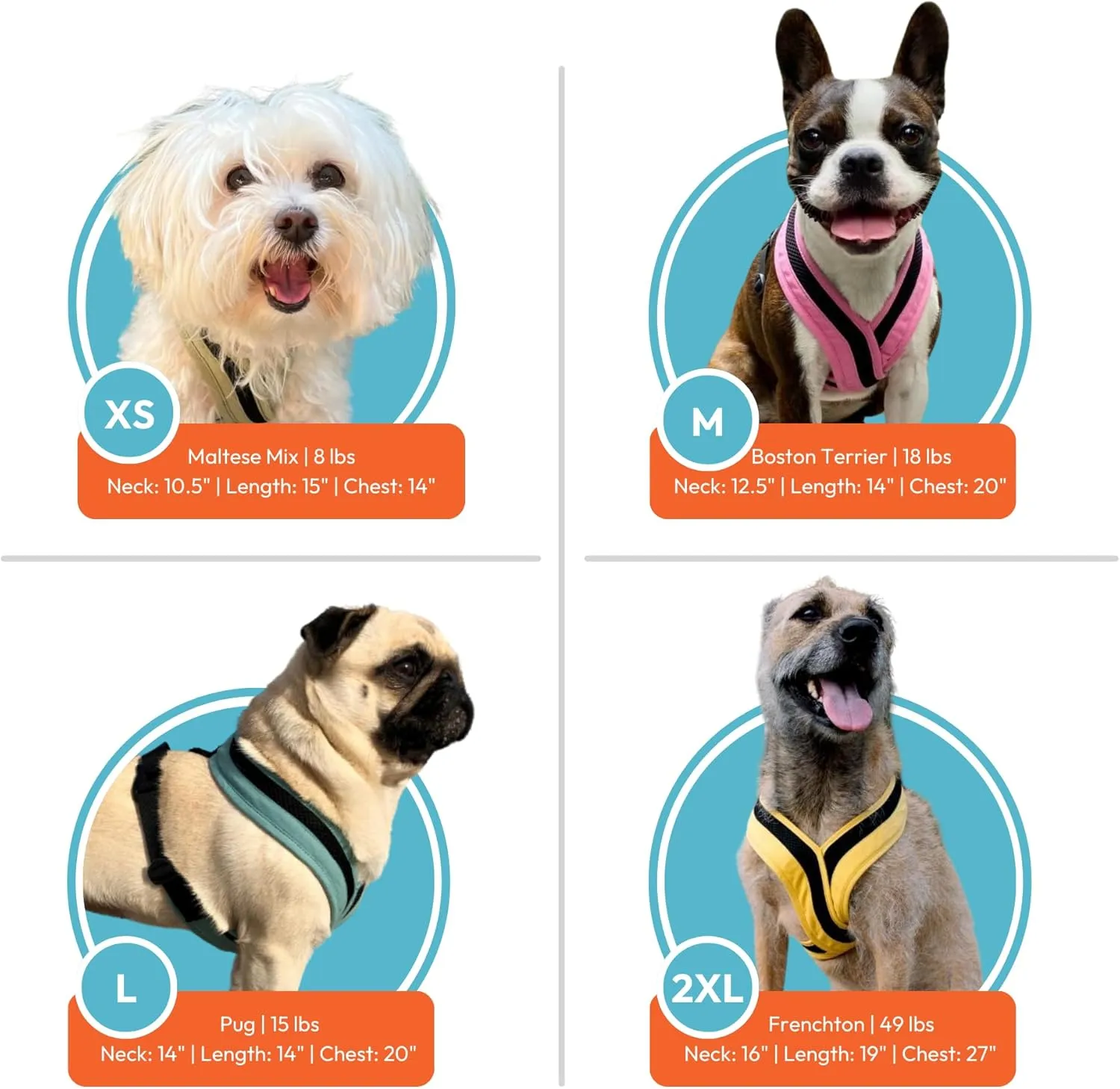 Gooby Comfort X One Dog Harness - Head-in Dog Harness for Small & Medium Sized Dogs - Escape-Free & Choke Free - Breathable Mesh, Shock Absorbing, Easy Snap & Swivel Buckles - Portland Green, Large