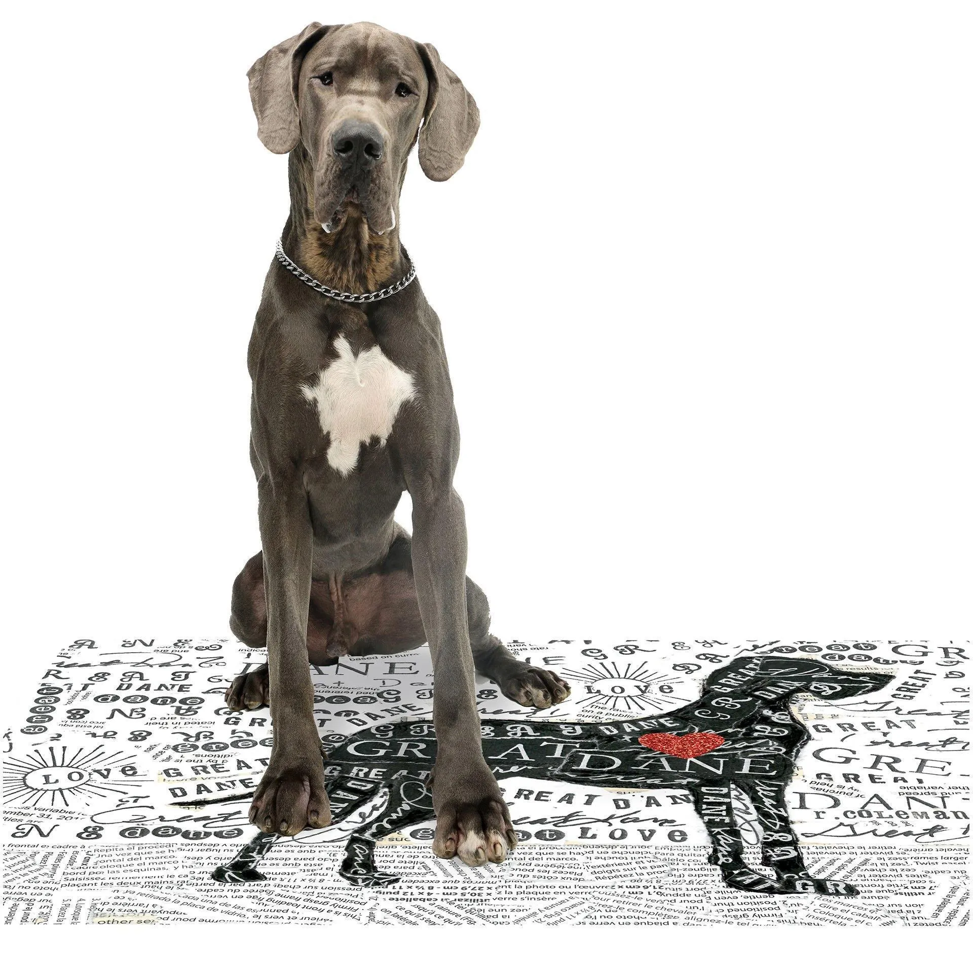 Great Dane PetFlat - Premium Vinyl Mat