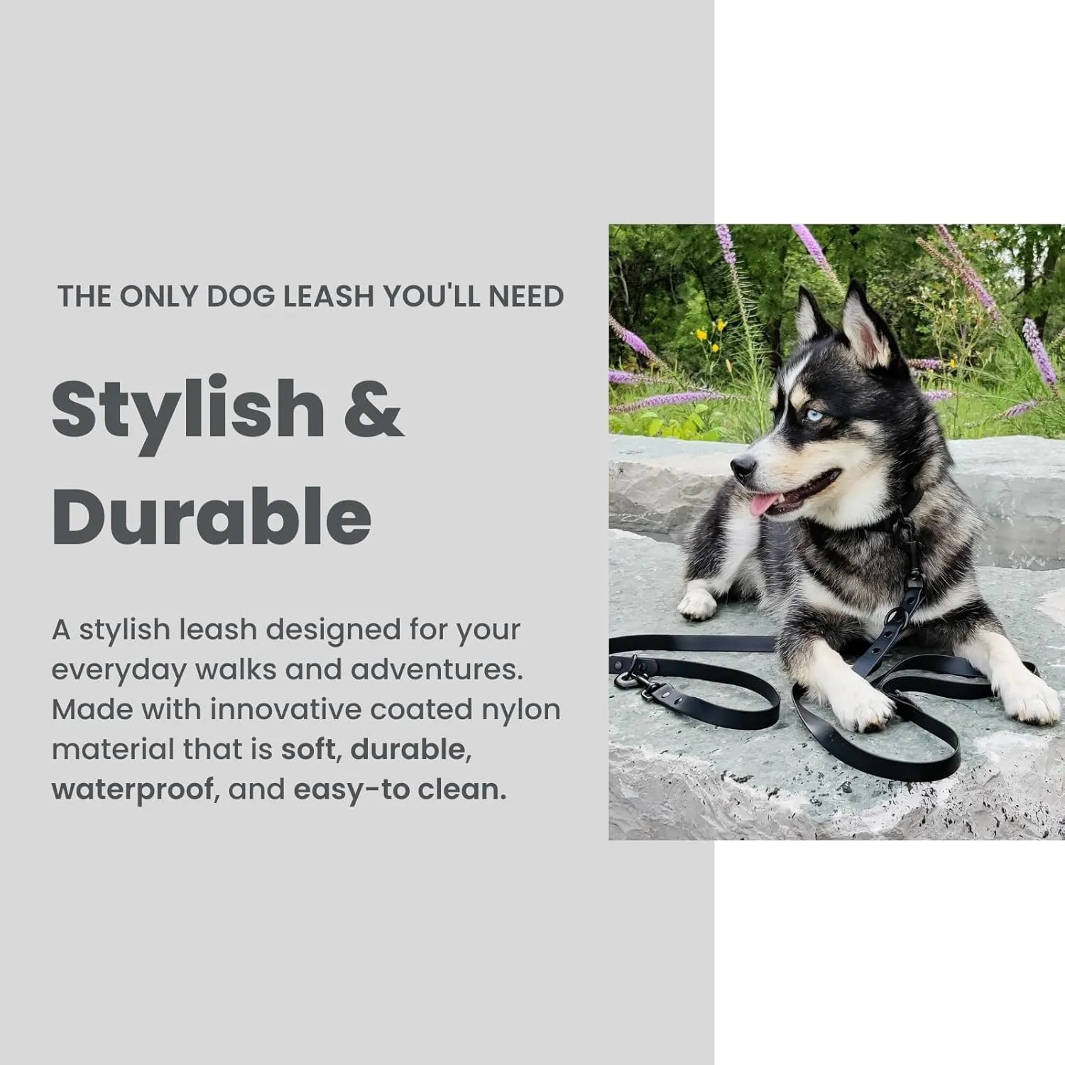Hands-Free Adjustable Waterproof Dog Leash (Black, 7 FT)