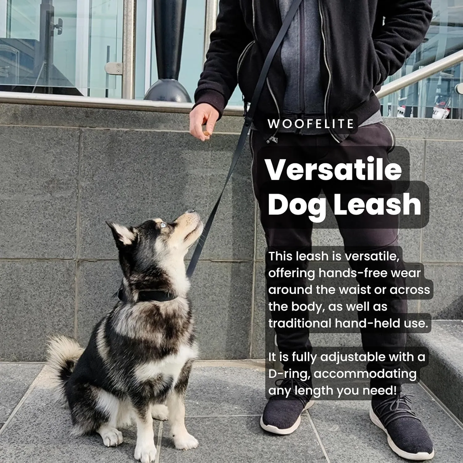 Hands-Free Adjustable Waterproof Dog Leash (Black, 7 FT)