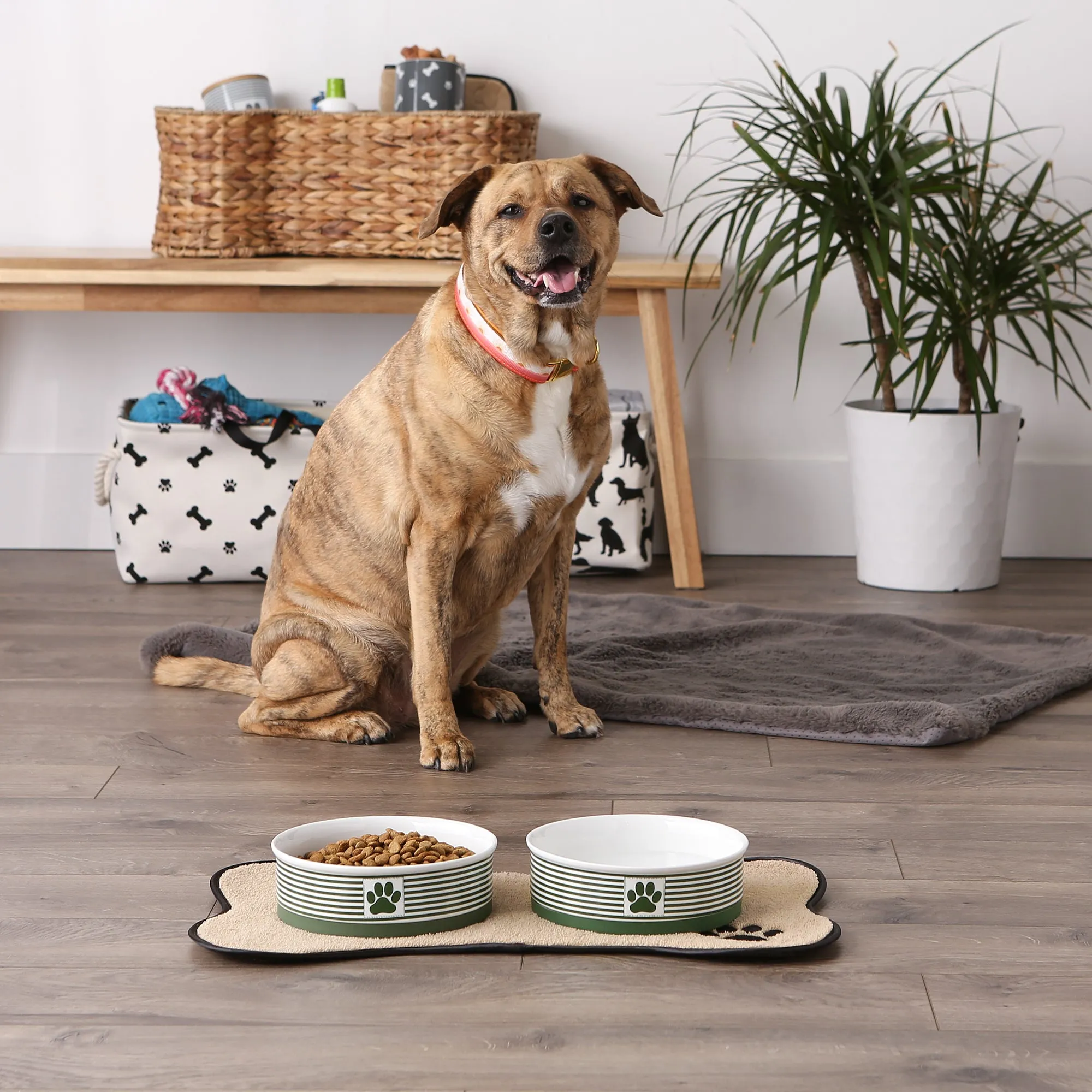 Hunter Green Striped Paw Patch Pet Bowl Set of 2, Large 3.75 C. Capacity
