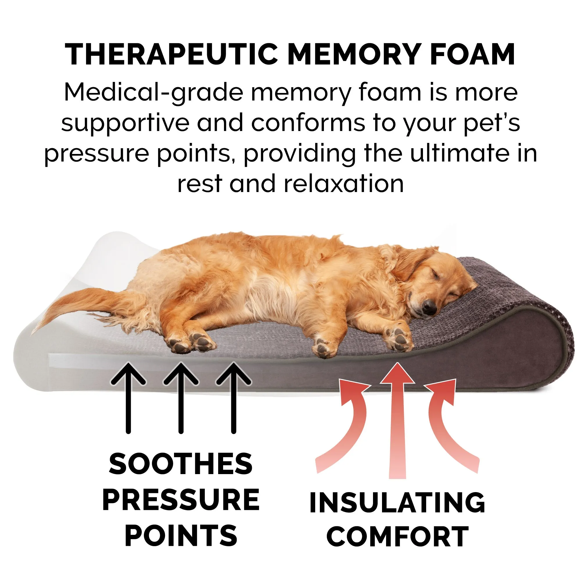 Memory Foam Minky Plush & Velvet Lux Lounger Pet Bed