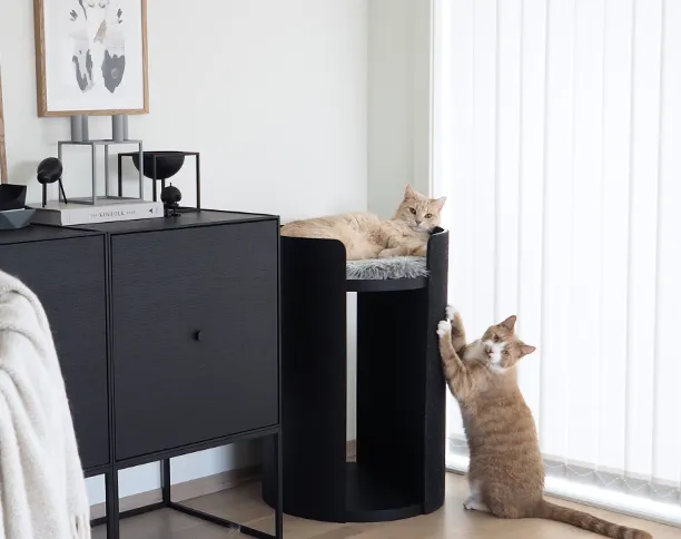 Modern Torre Cat Scratching Post With Cushion - Black