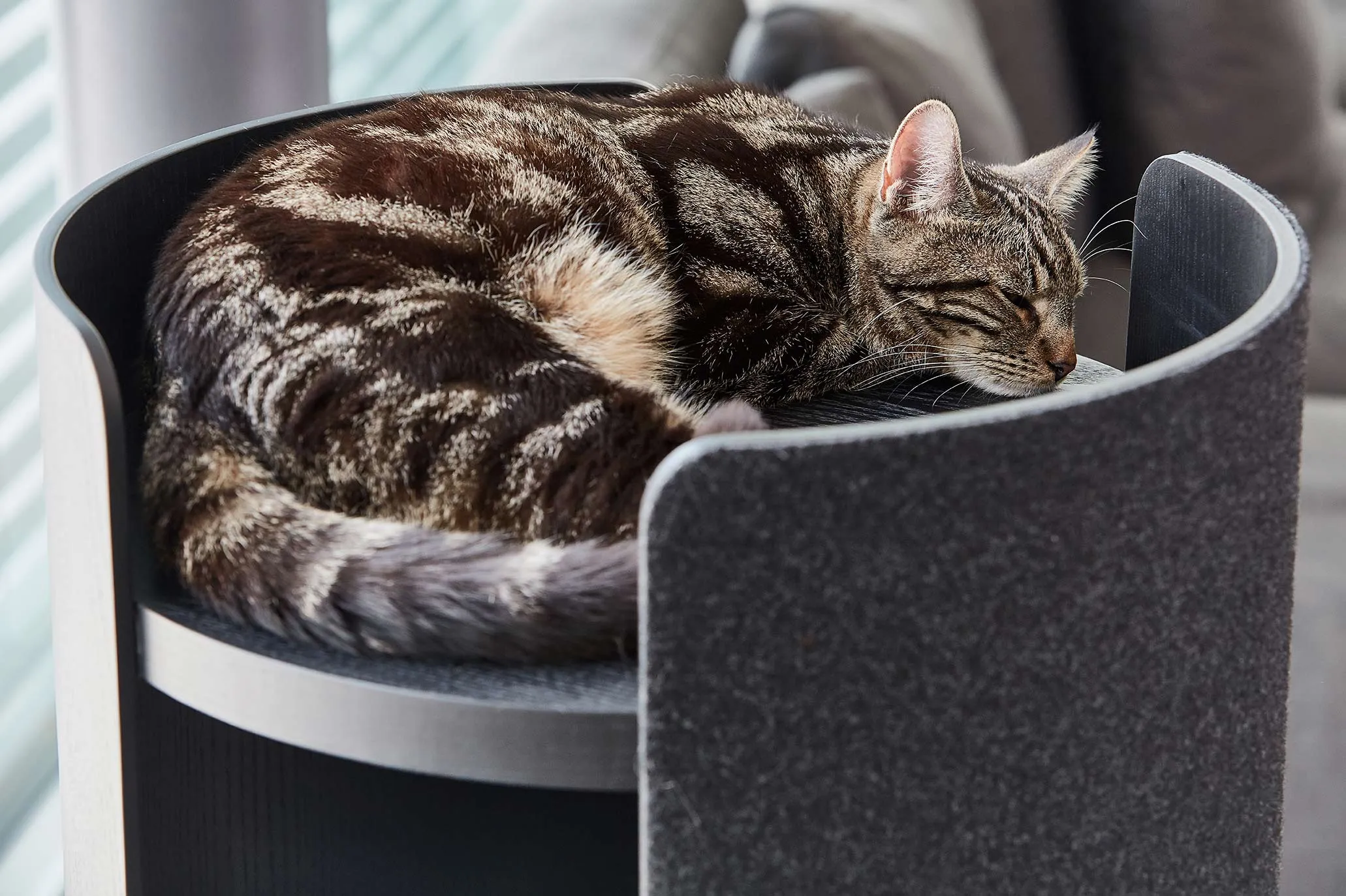Modern Torre Cat Scratching Post With Cushion - Black