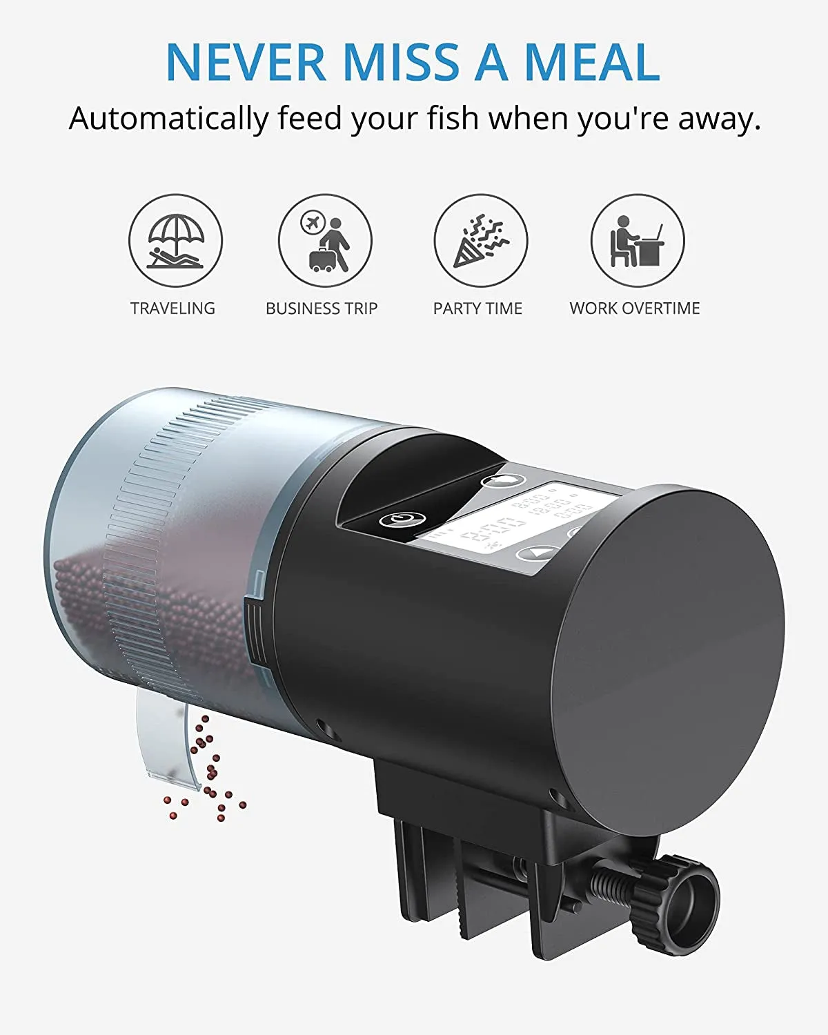 NICREW Automatic Fish Feeder