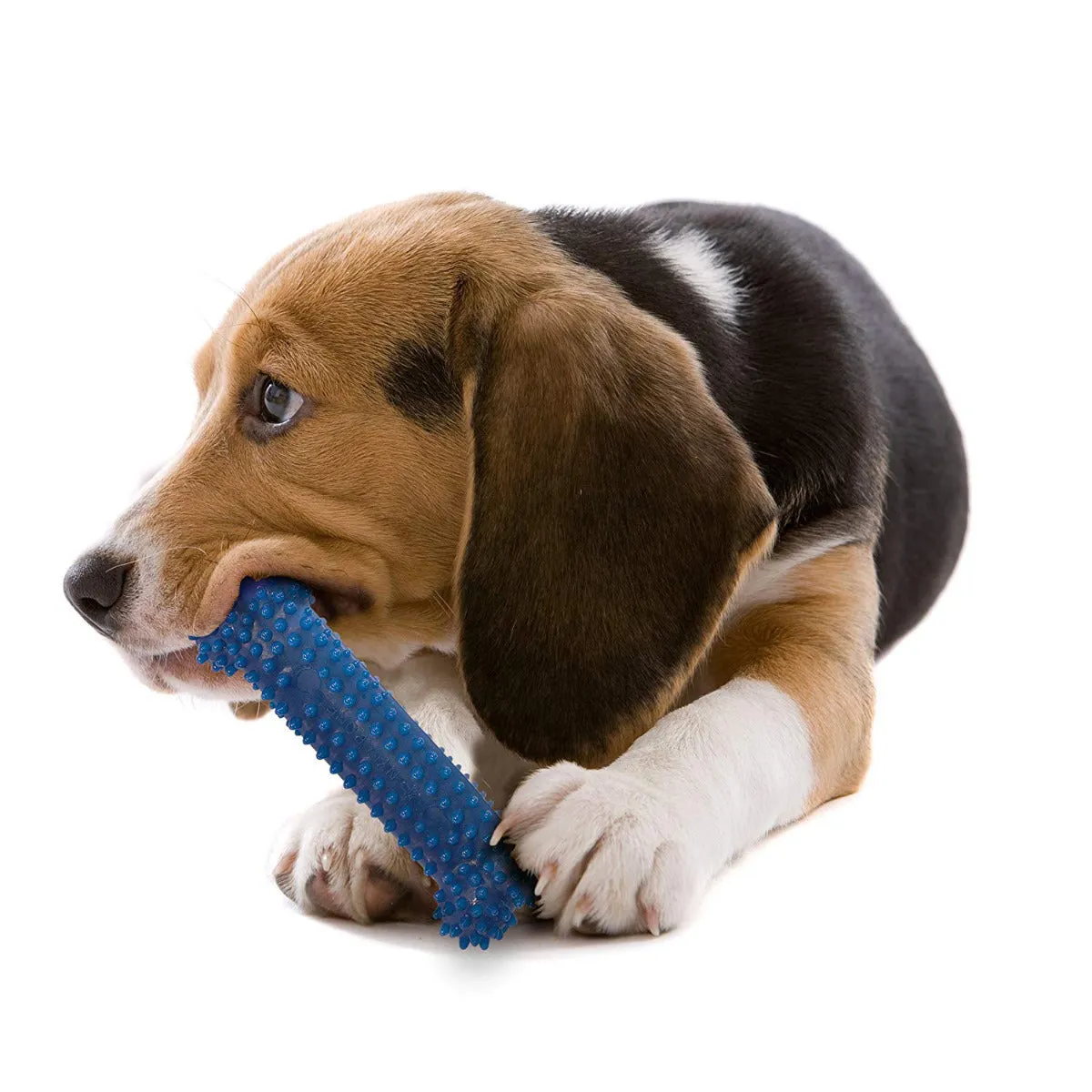 Nylabone Dental Flexi Chew Bone Dog Toy