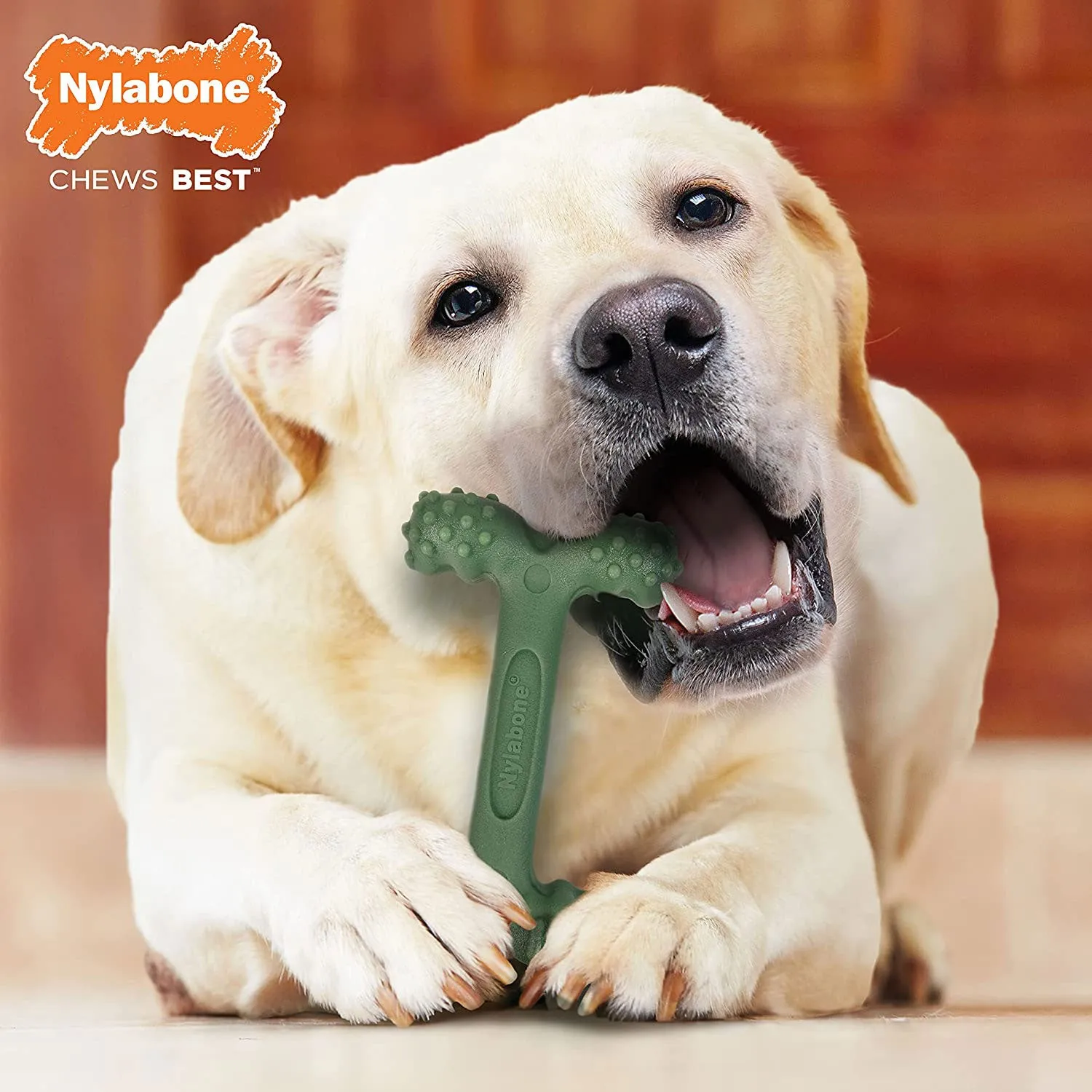 Nylabone Power Easy-Hold Dog Chew Toy