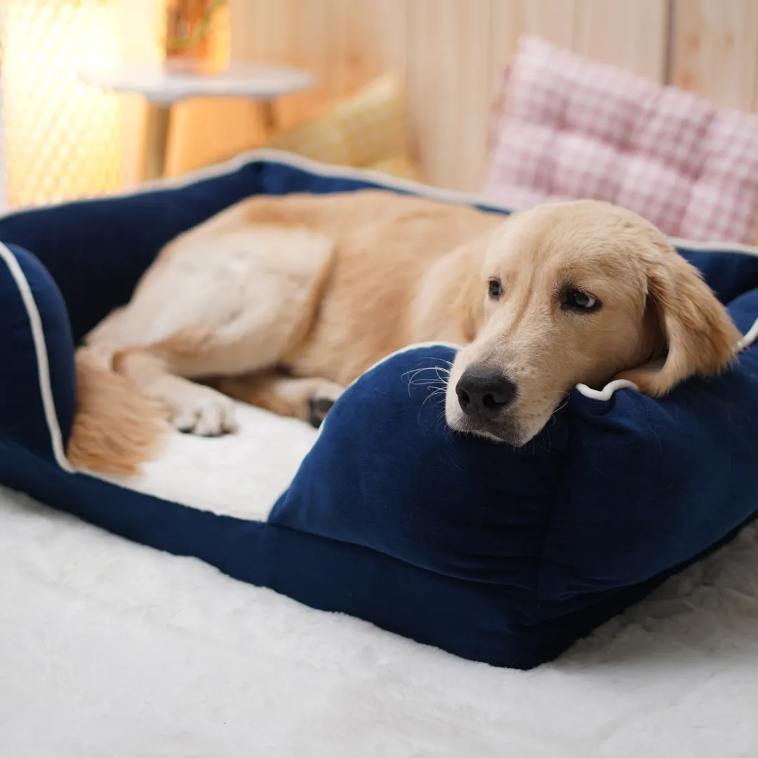 Ortho Lounger Bed