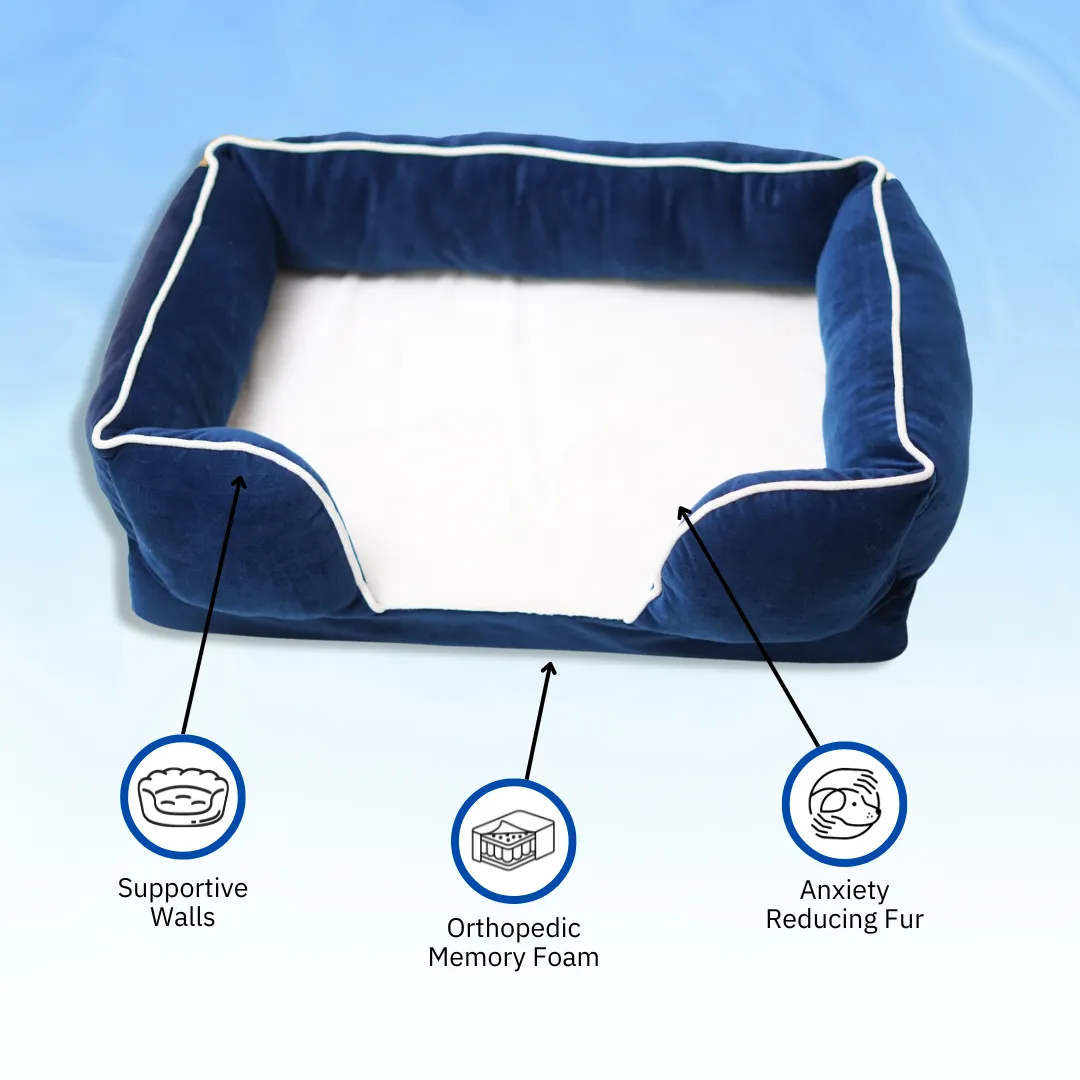 Ortho Lounger Bed