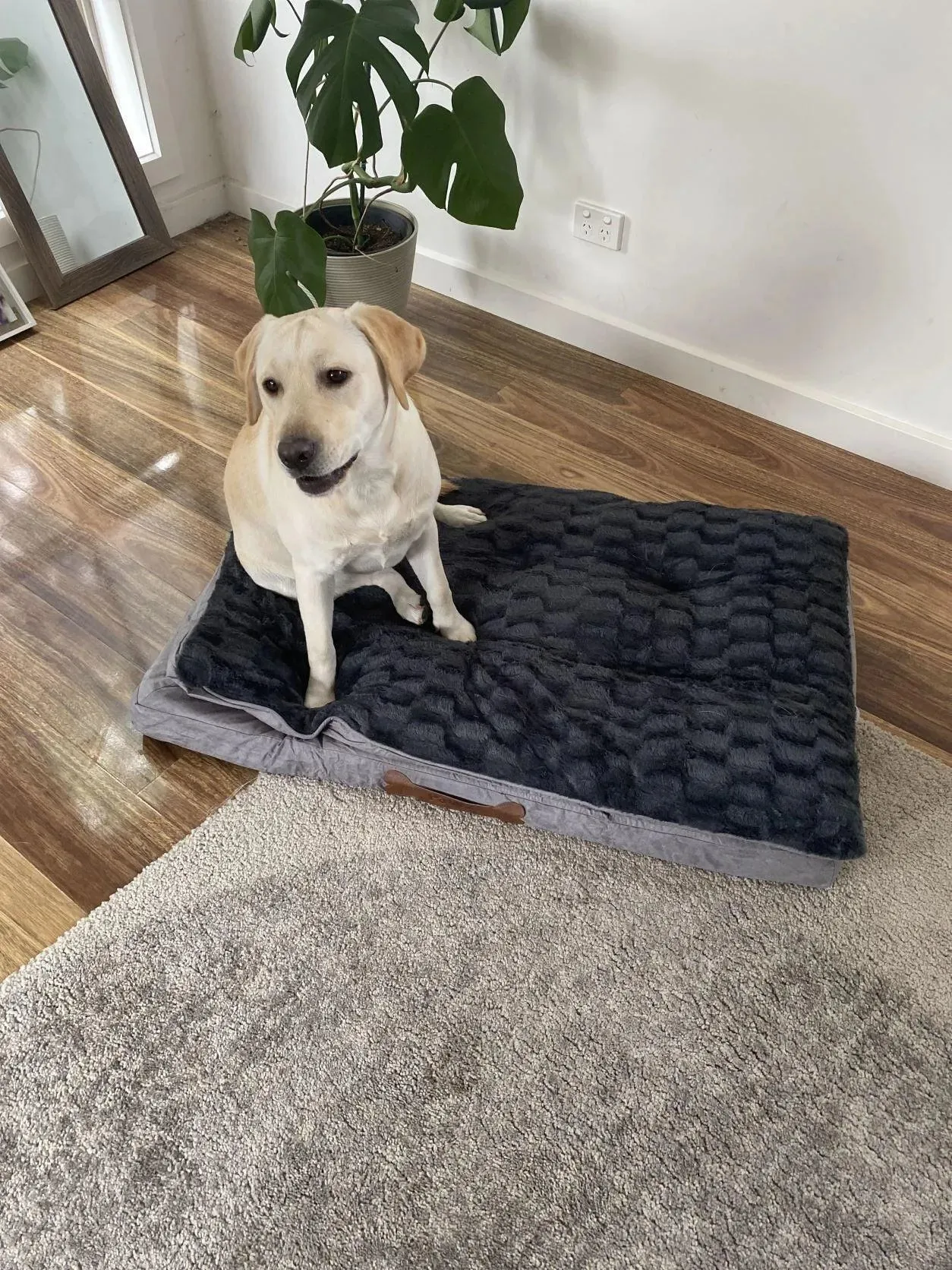 Pawz Dog Memory Foam Mattress