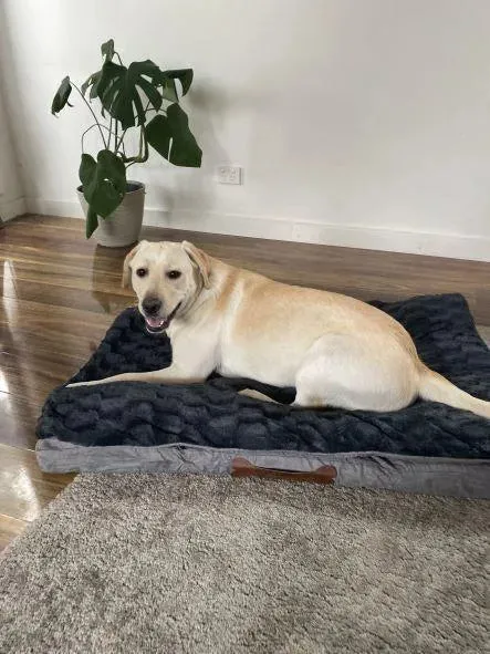 Pawz Dog Memory Foam Mattress
