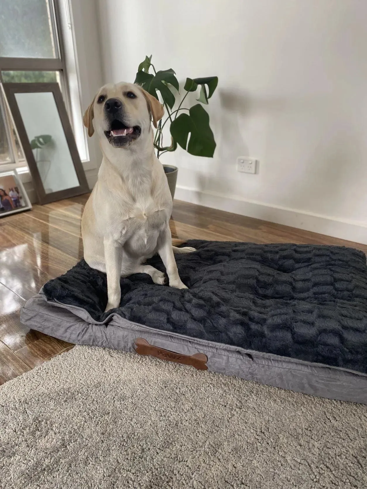 Pawz Dog Memory Foam Mattress