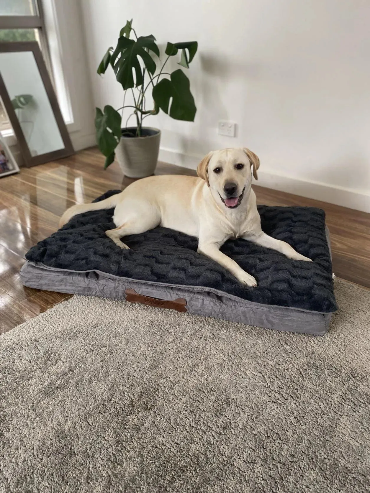 Pawz Dog Memory Foam Mattress