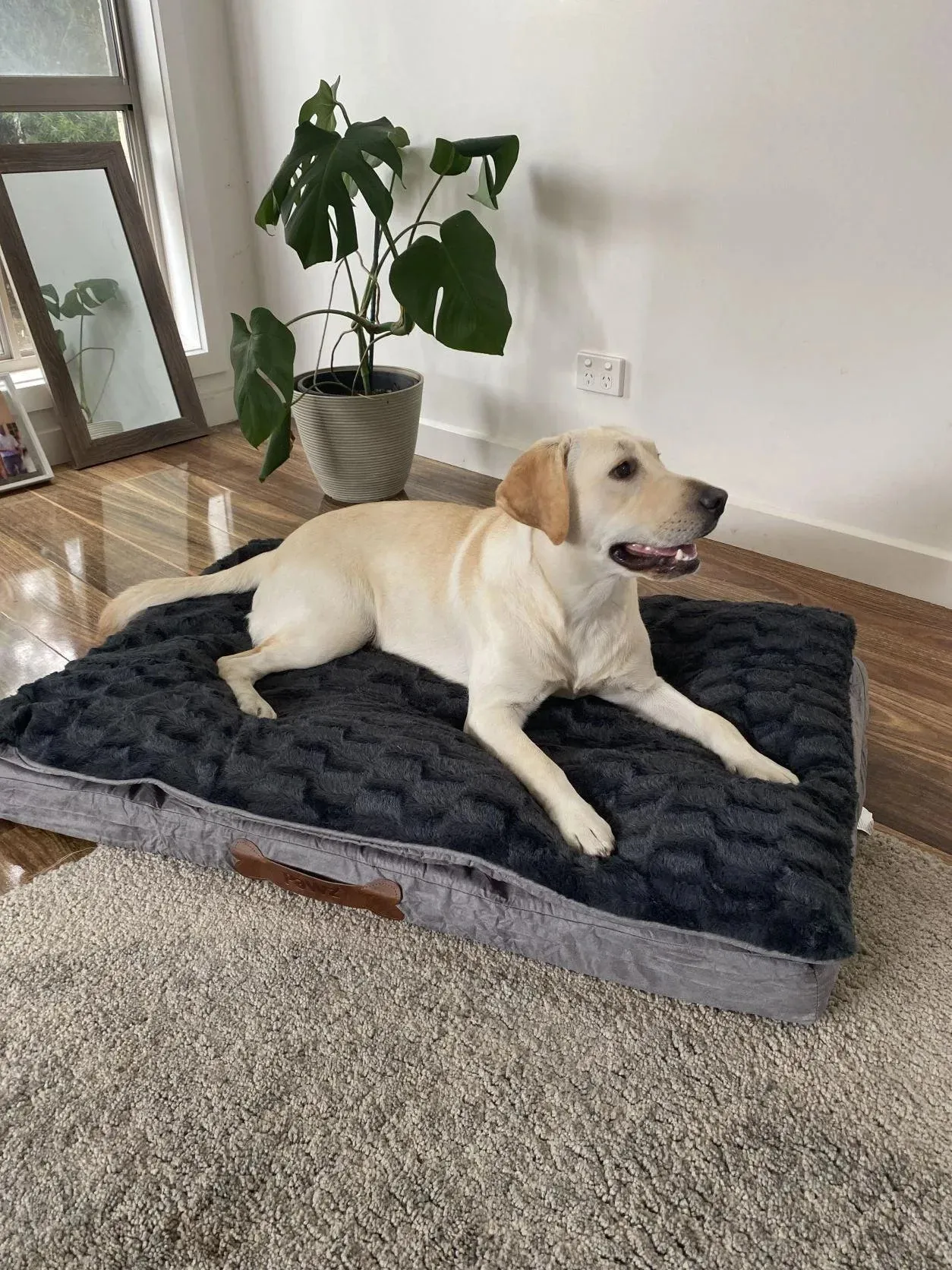 Pawz Dog Memory Foam Mattress