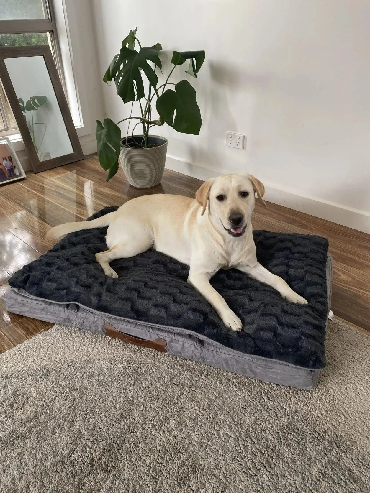 Pawz Dog Memory Foam Mattress