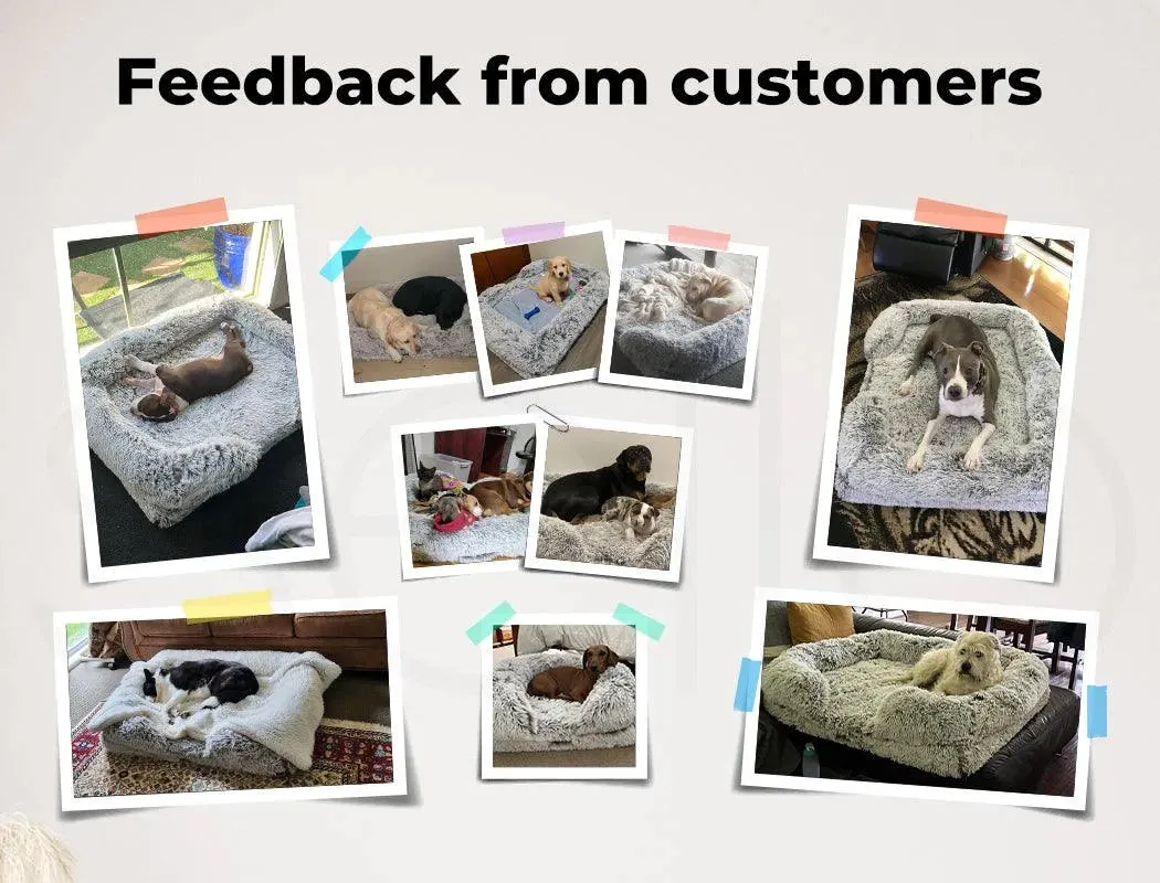 PaWz Premium Pet Orthopaedic Bed
