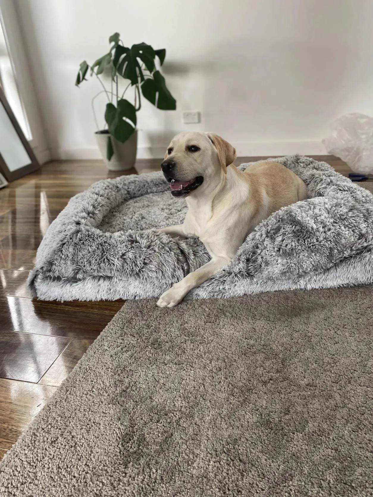 PaWz Premium Pet Orthopaedic Bed