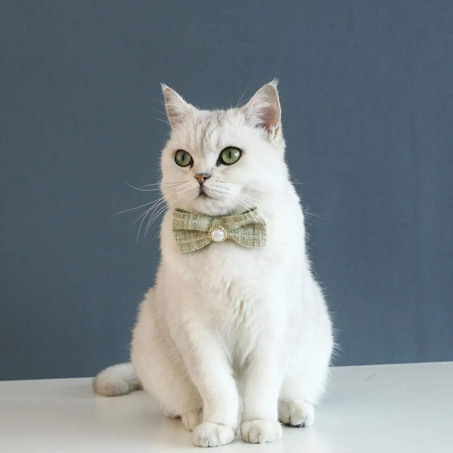 Pet Braided Plaid Vintage Pearl Bow tie Collar cat Dog Adjustable Anti-Choking Safety Breakaway Cats Collars (Green)