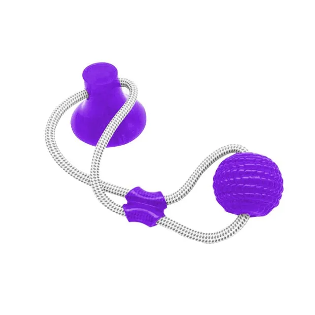 Pet dog toys Interactive Suction Cup Push TPR Ball Toys Elastic Ropes Pet Tooth Cleaning Chewing Playing IQ dog accessories